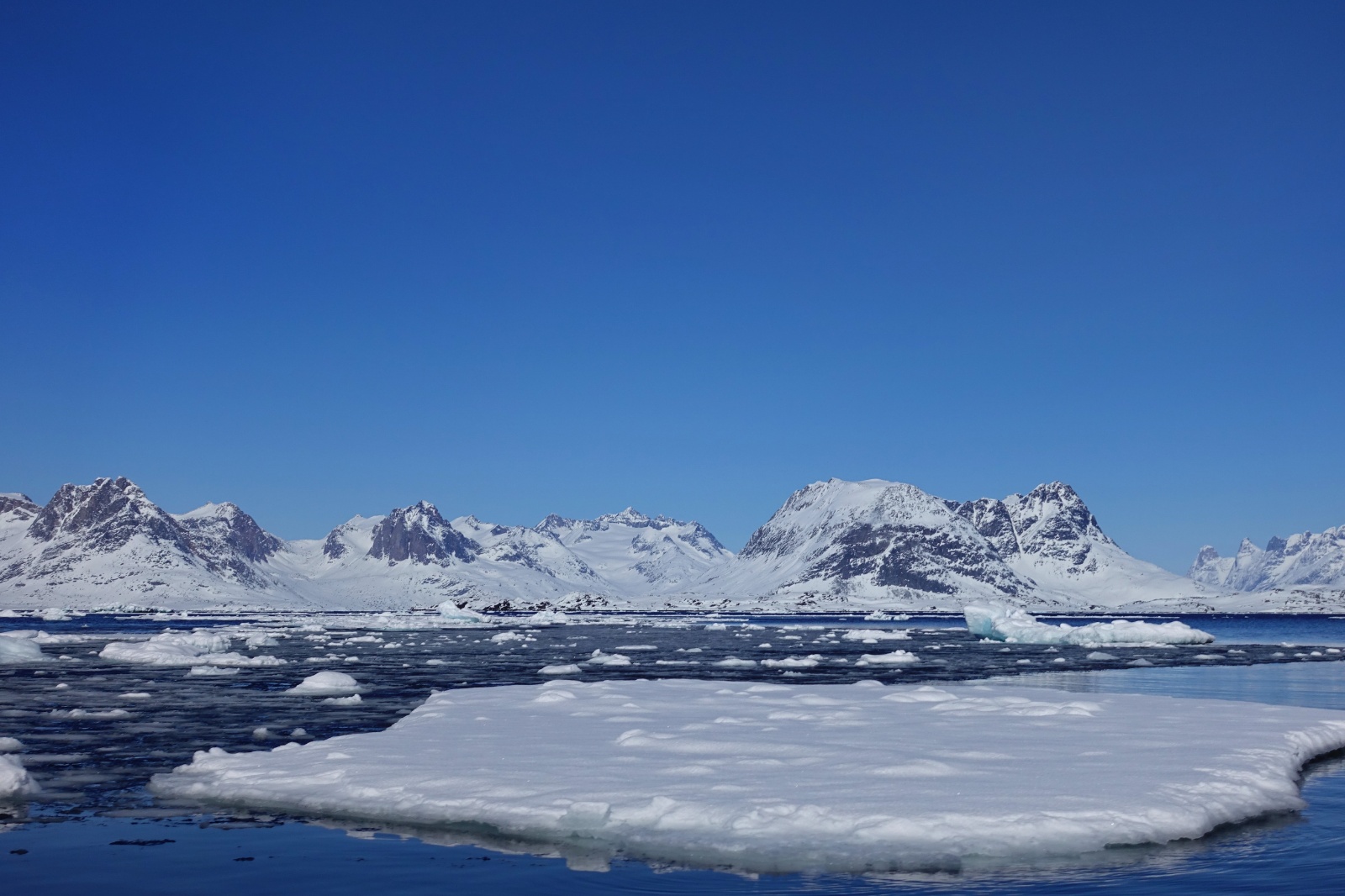 Greenland 2018 13