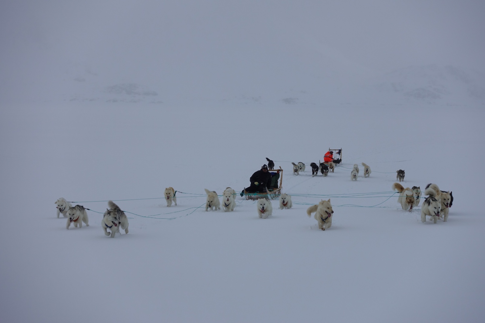 Greenland 2018 48