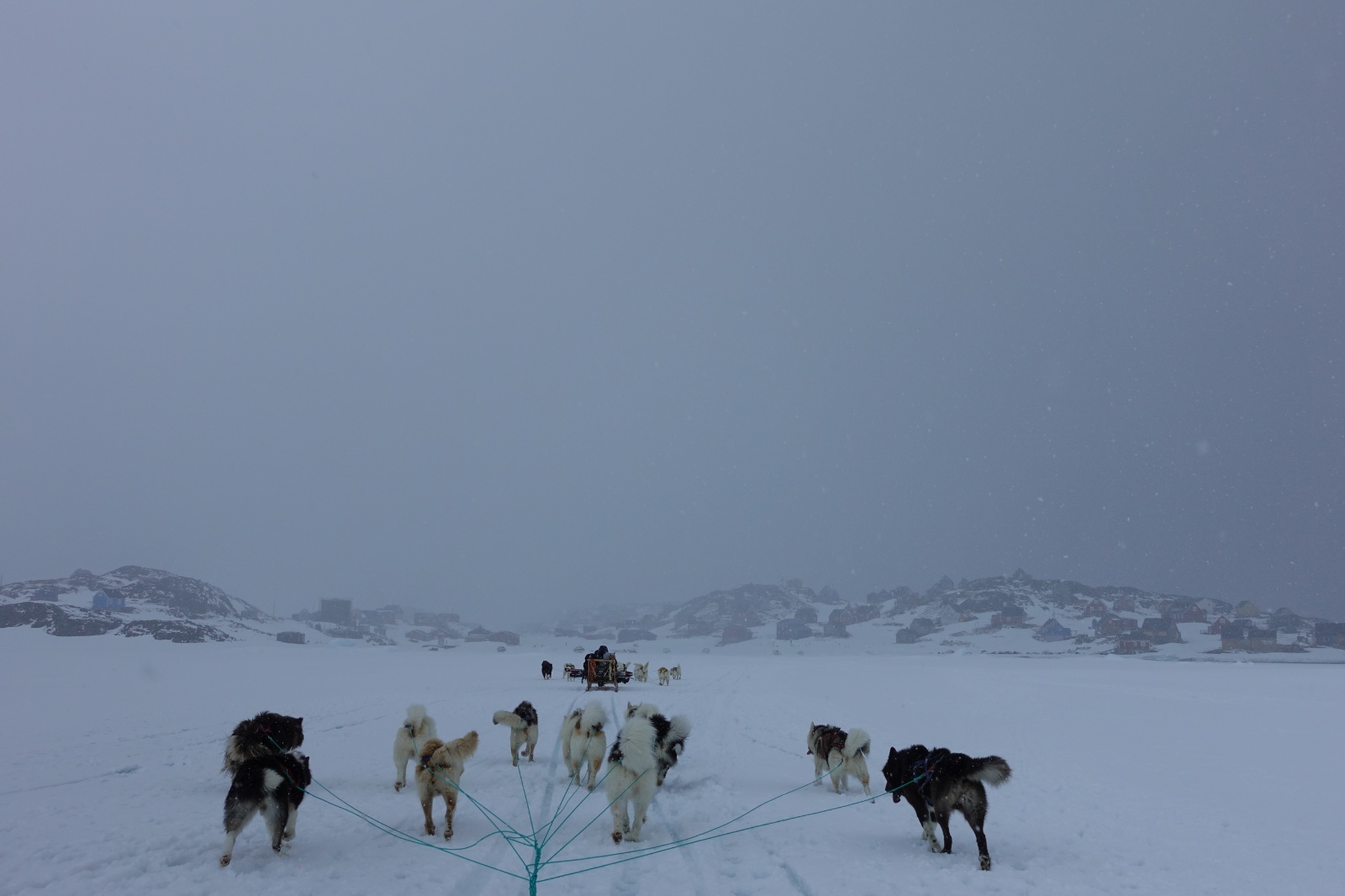 Greenland 2018 50
