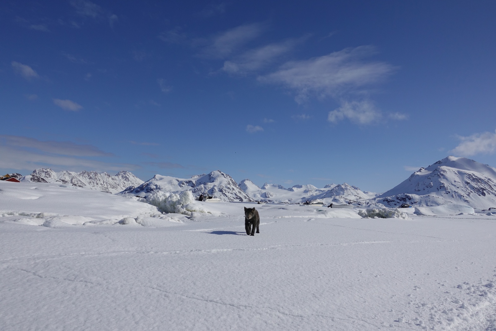Greenland 2018 52