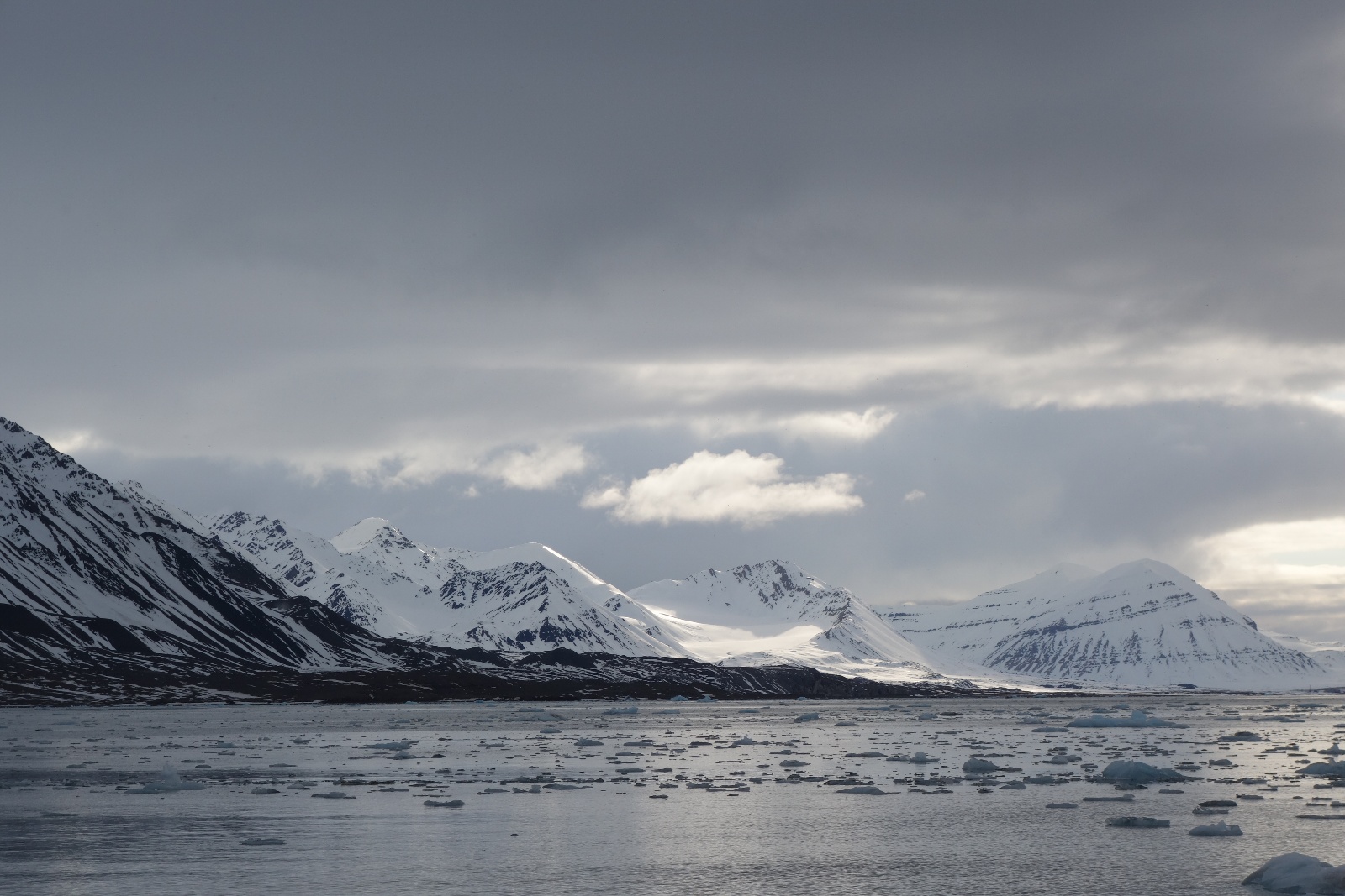 Svalbard 65