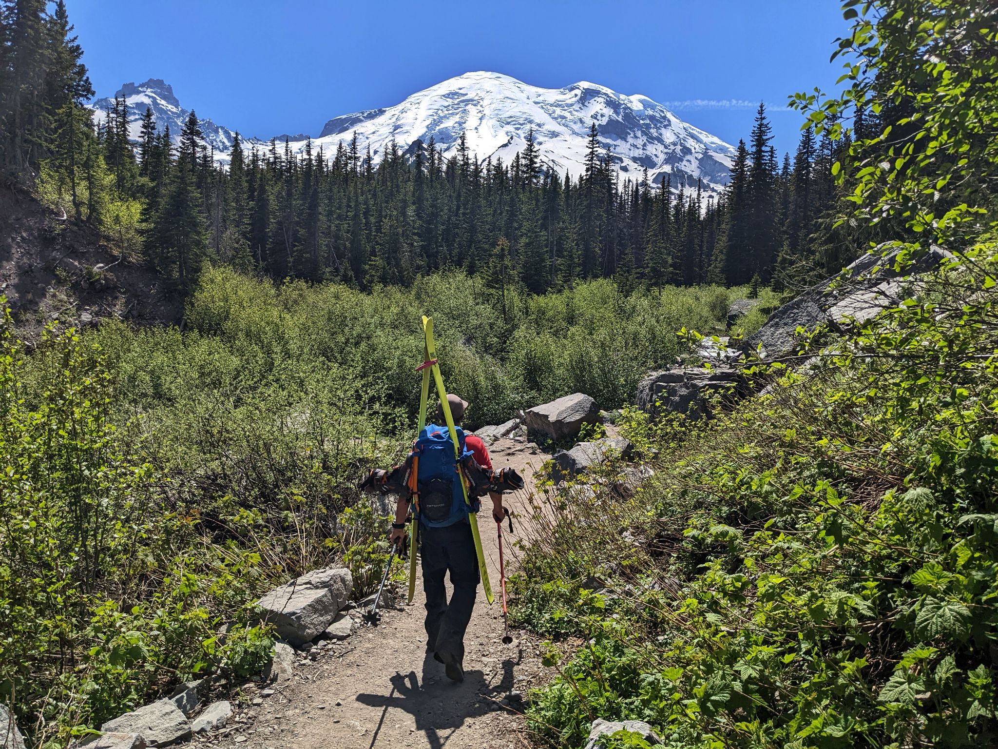 Rainier emmons 26