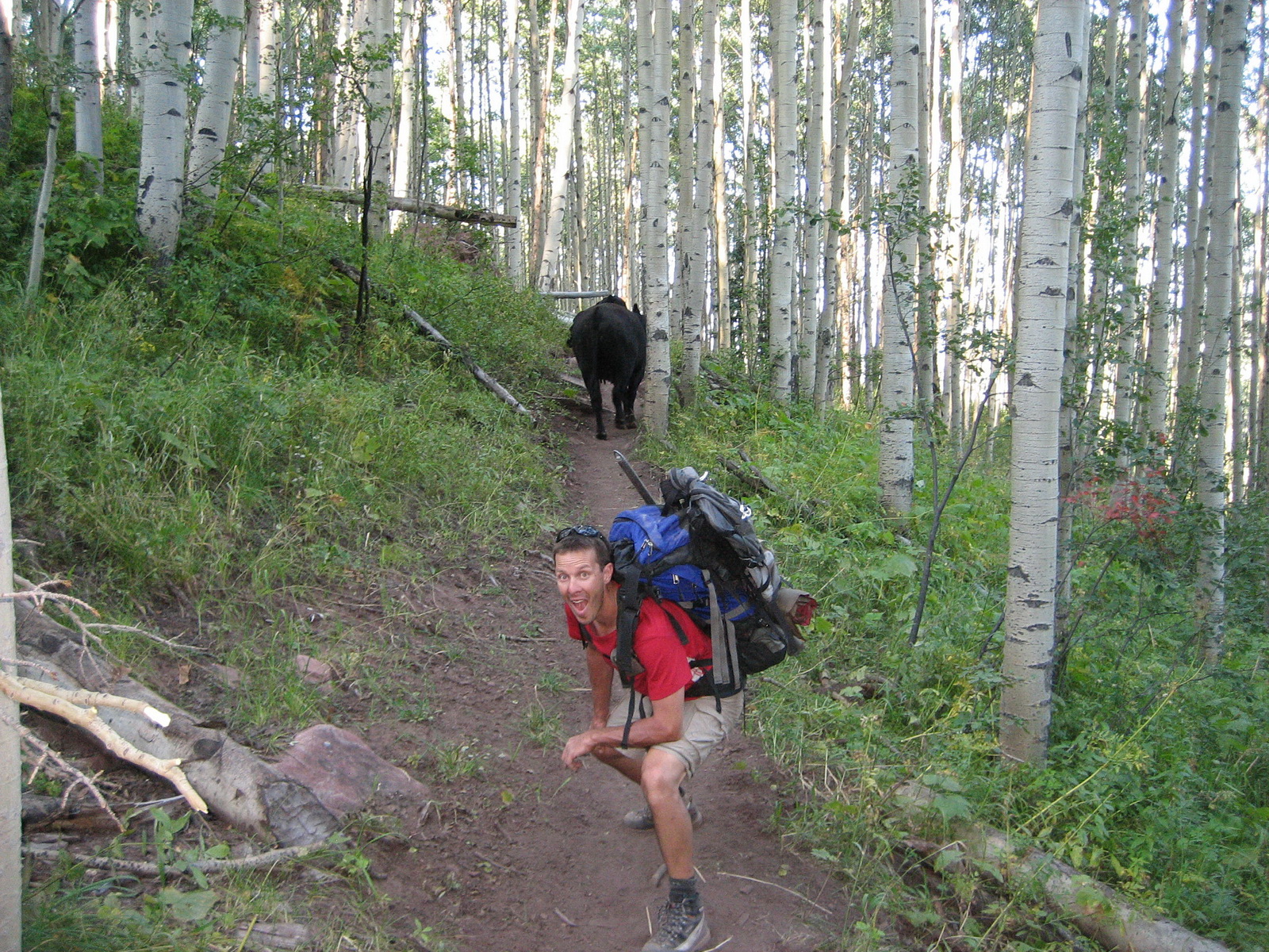Capitol peak 55
