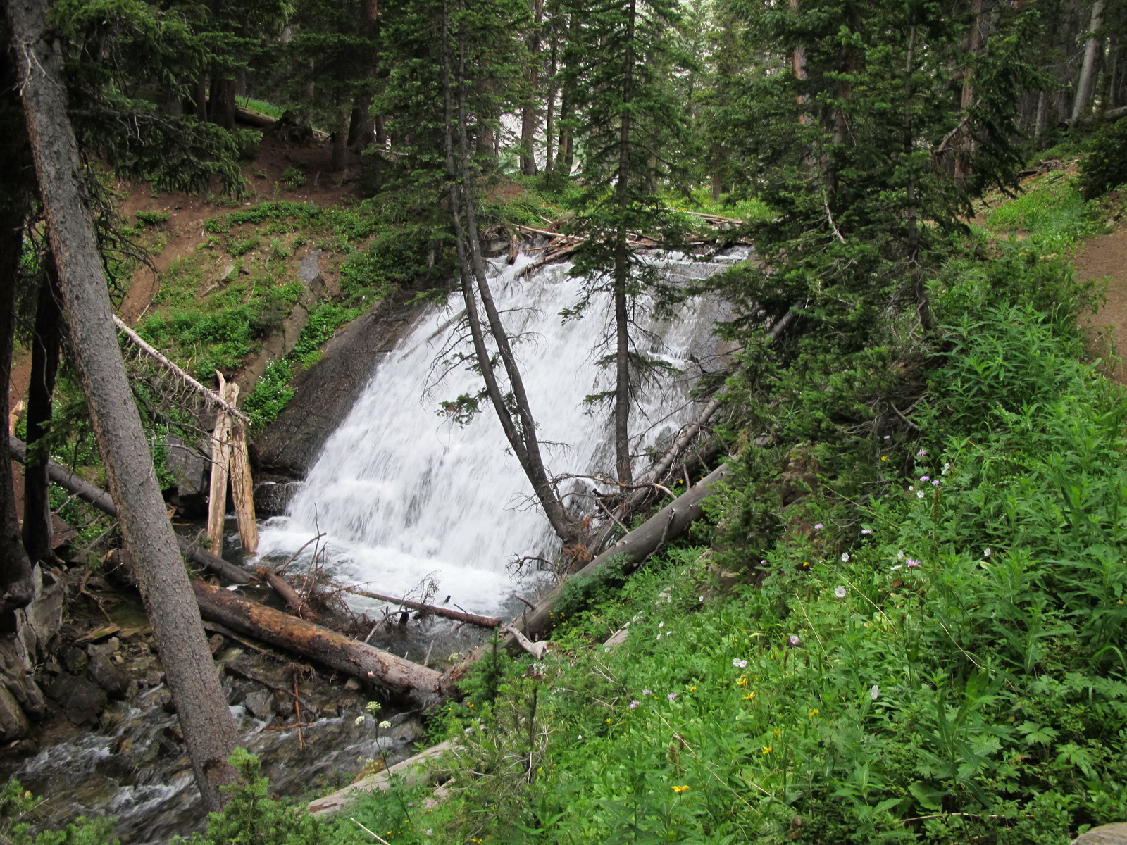 Snowmass 006