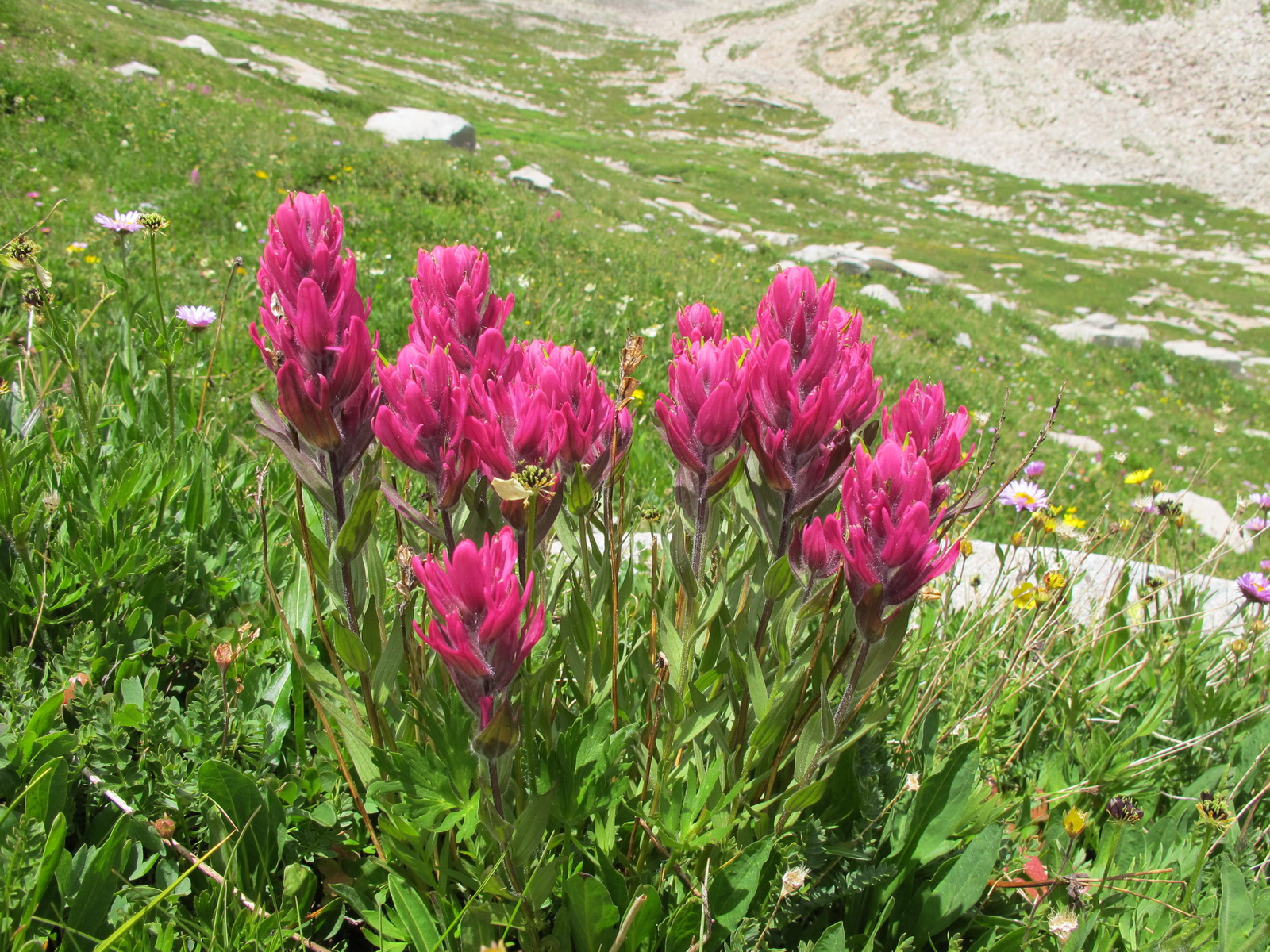 Snowmass 054