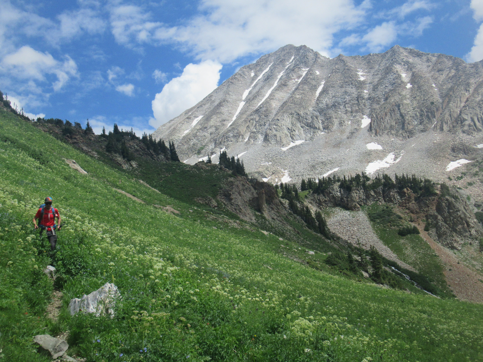 Snowmass 36a