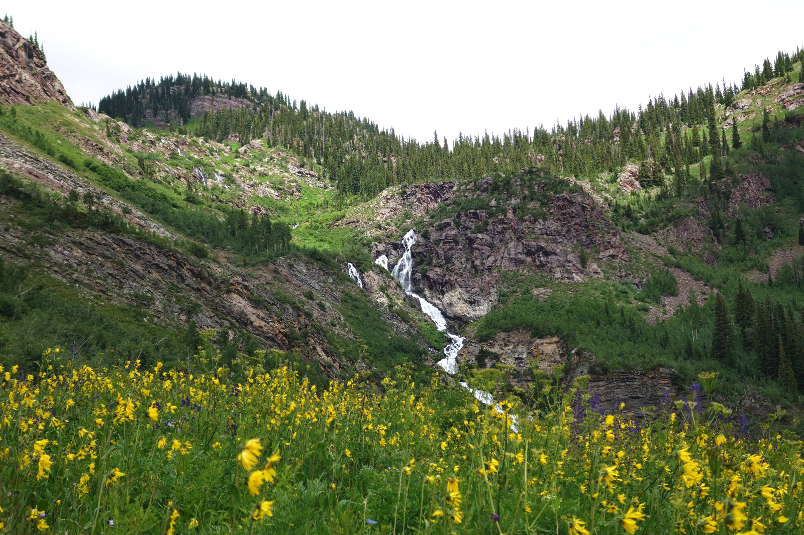 Snowmass 41