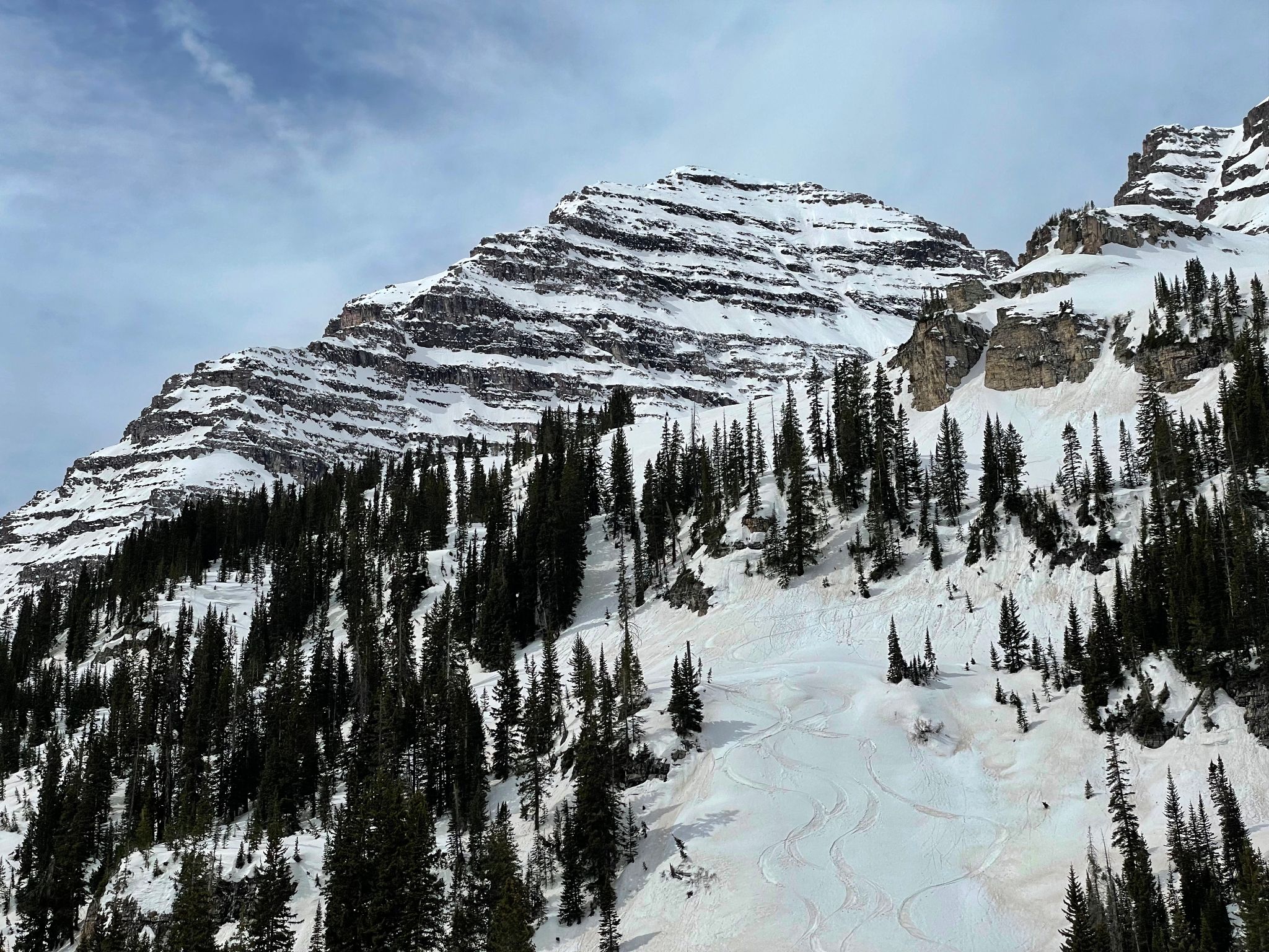 North maroon north face ski 37