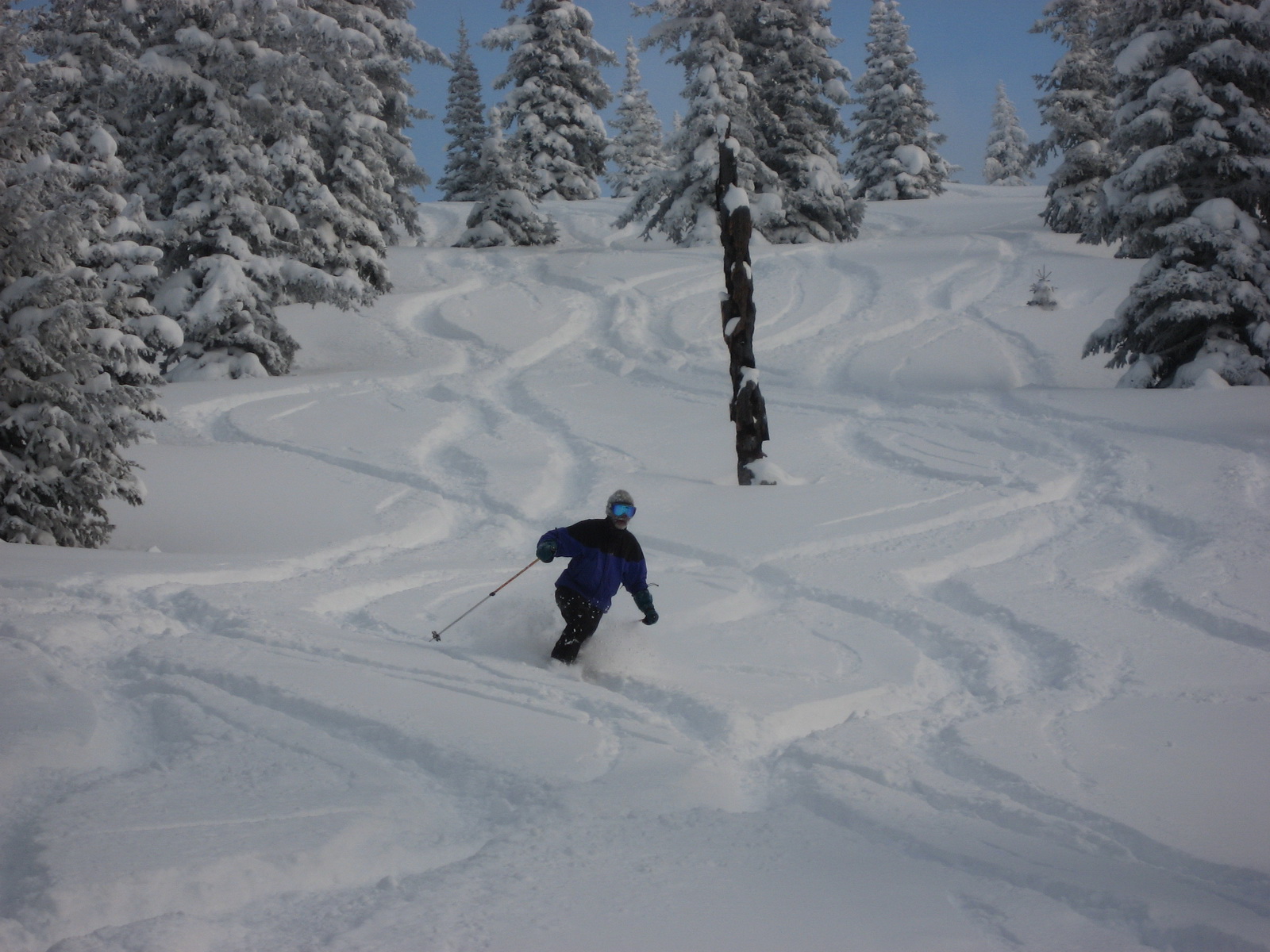 Mcnamara Hut