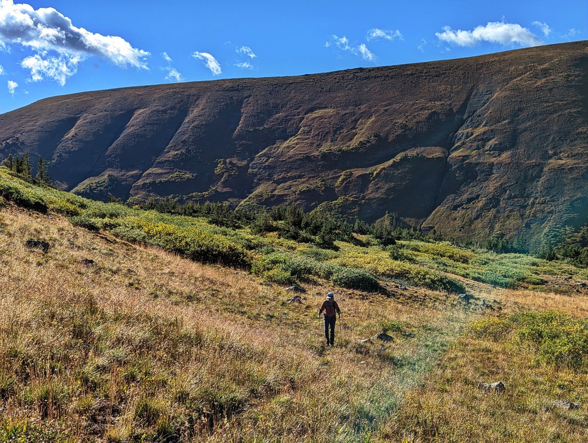 West elk 10