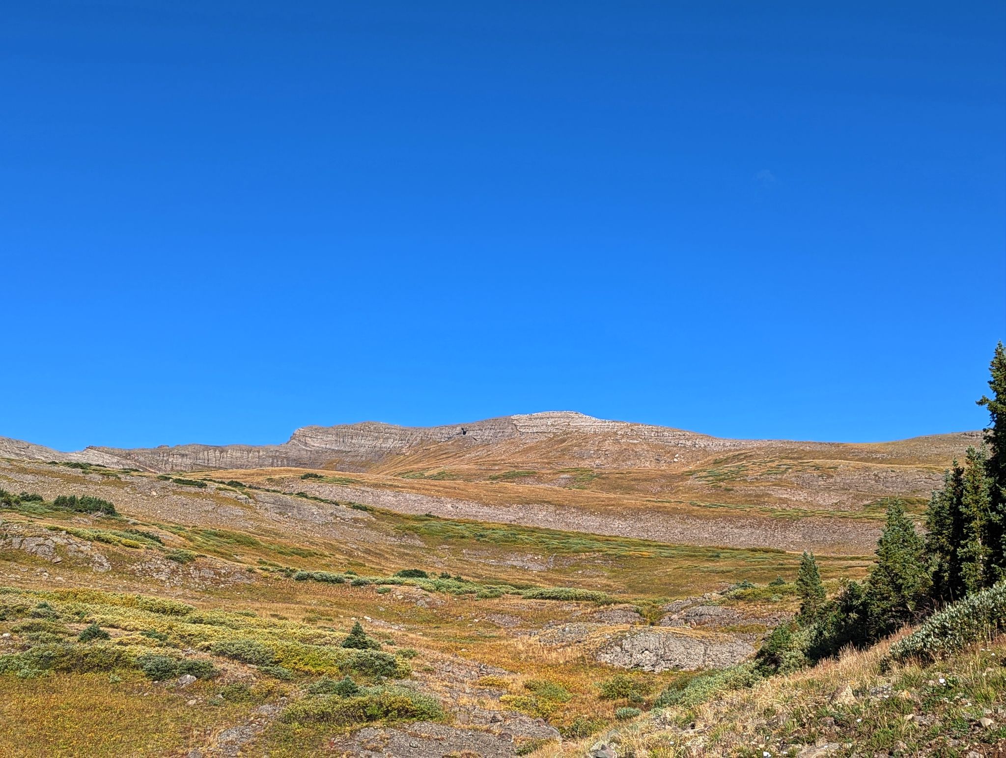 West elk 10c