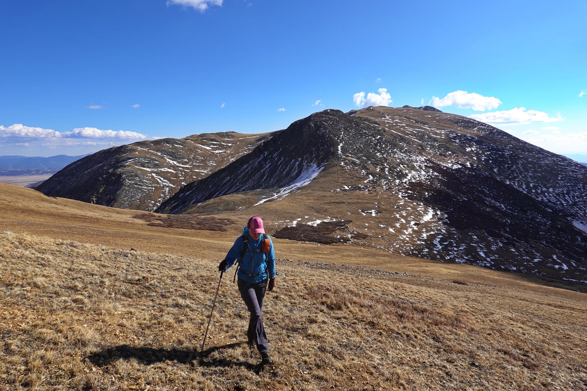Bald boreas 10