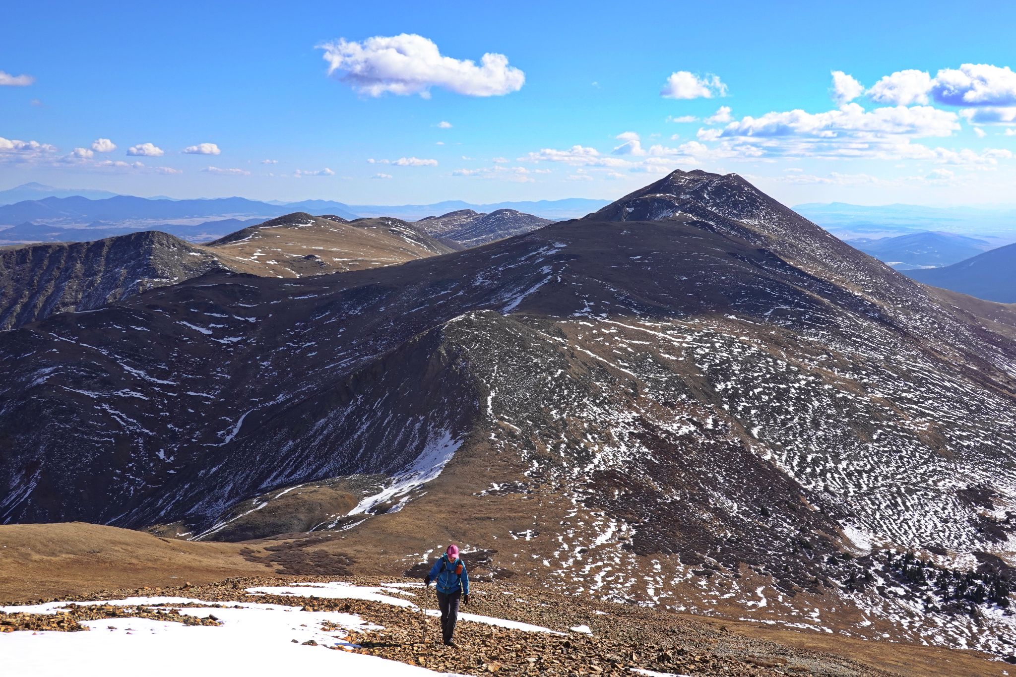 Bald boreas 11