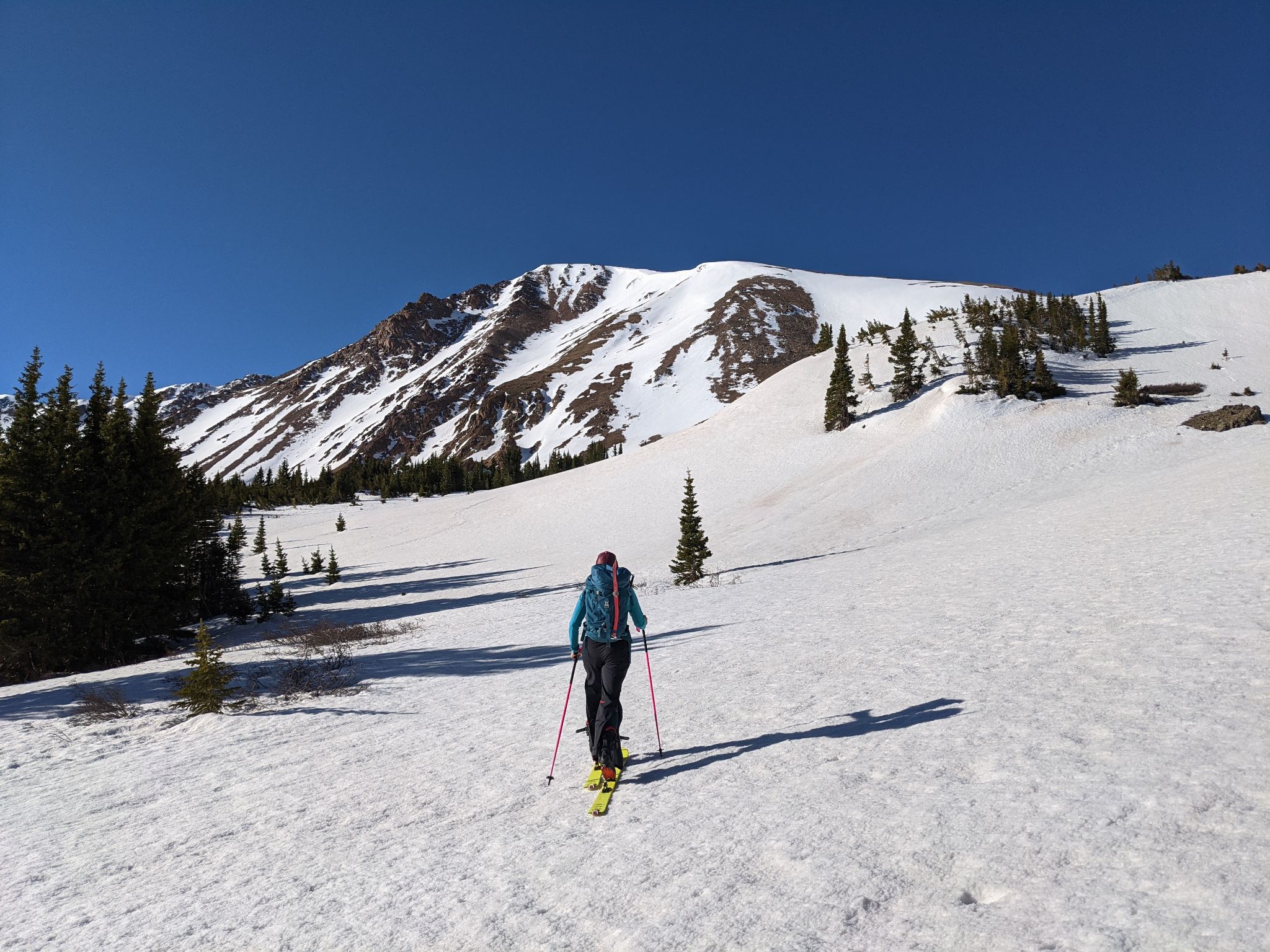 Parnassus ski 03