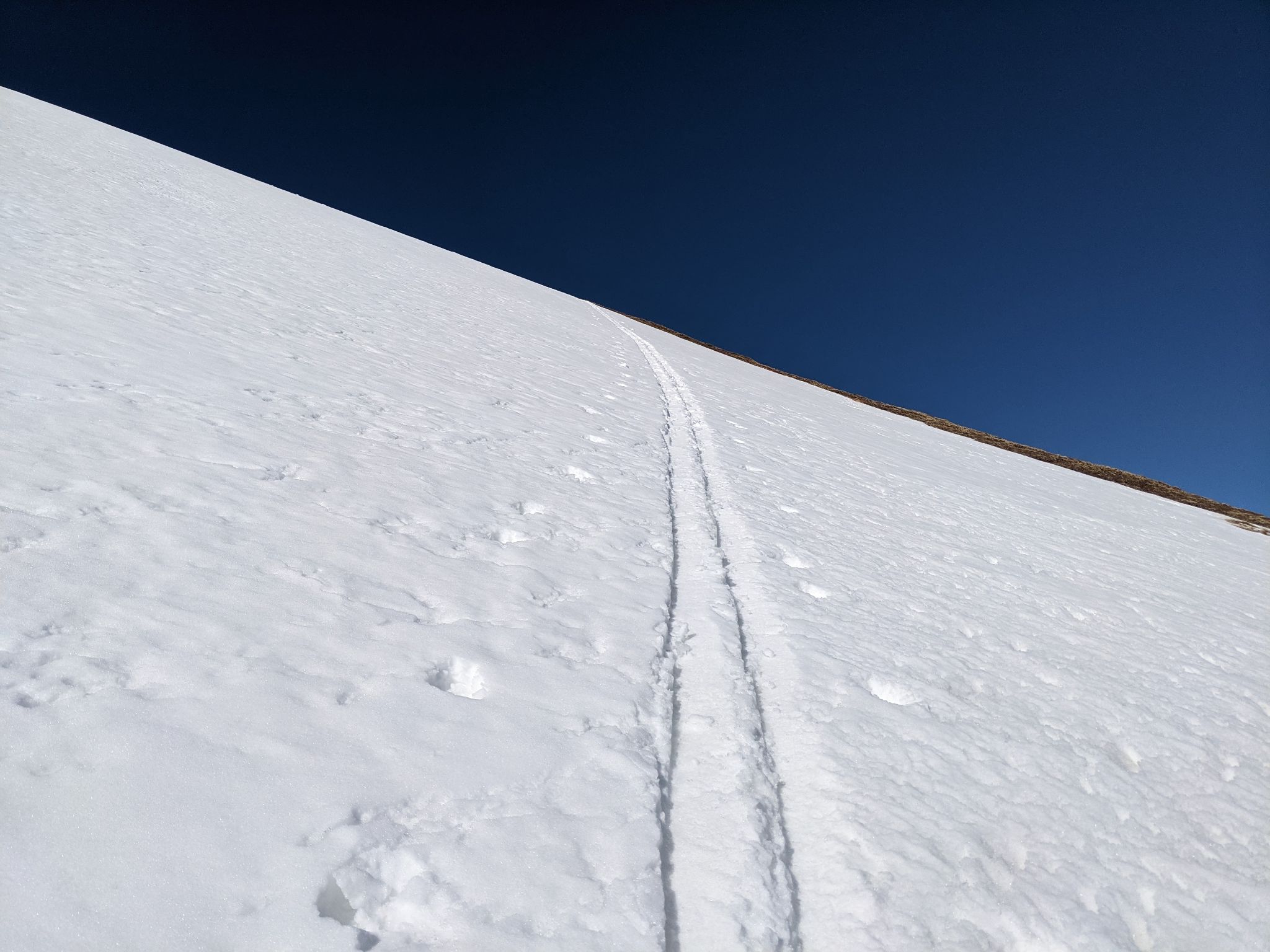 Parnassus ski 05