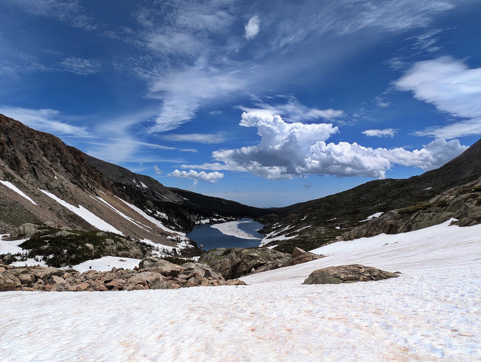 Niwot ridge 26