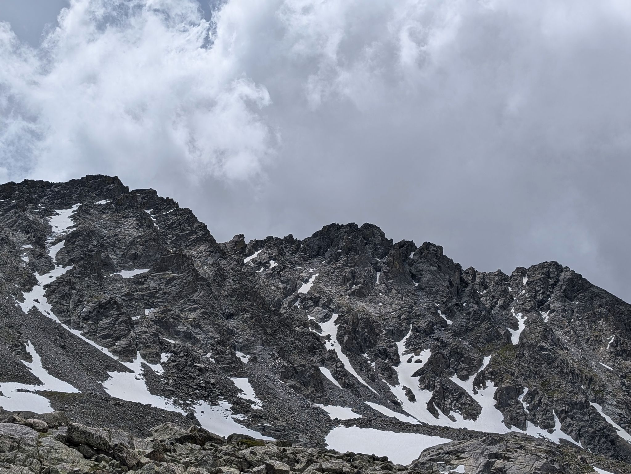 Niwot ridge 27