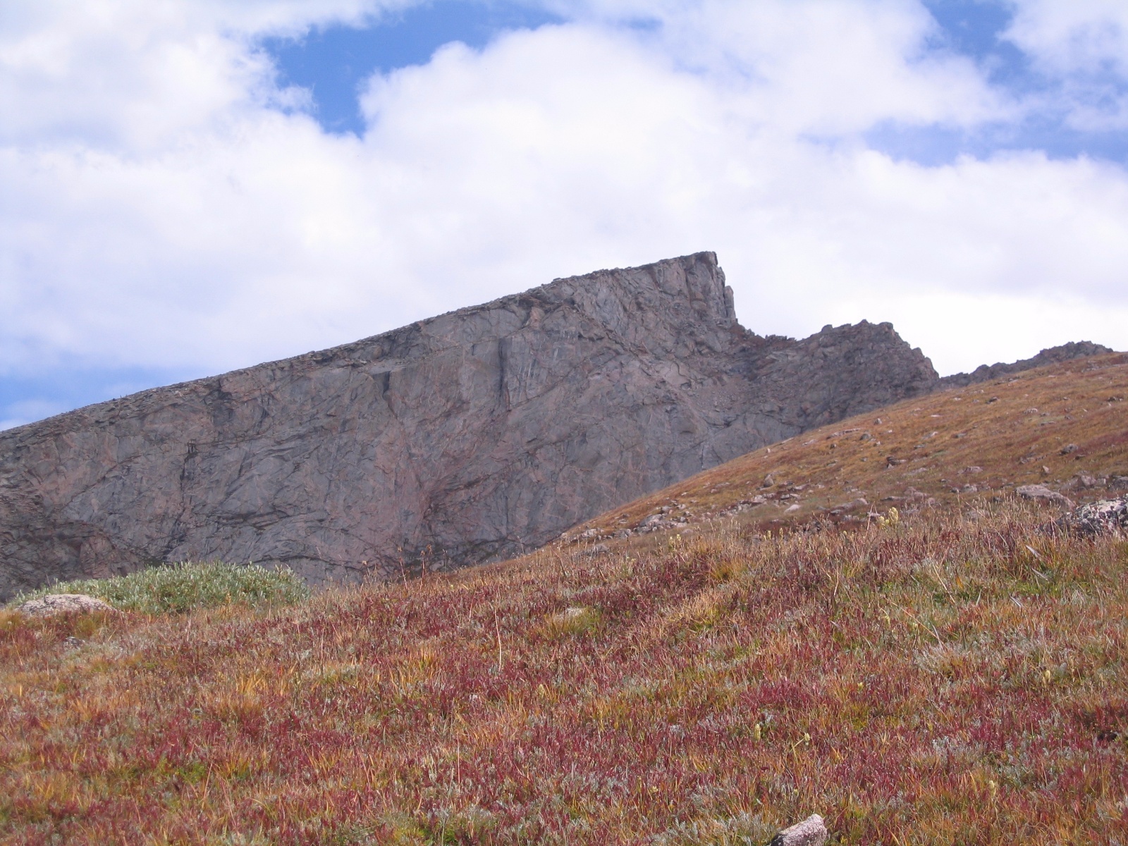 Bierstadt west slopes 8