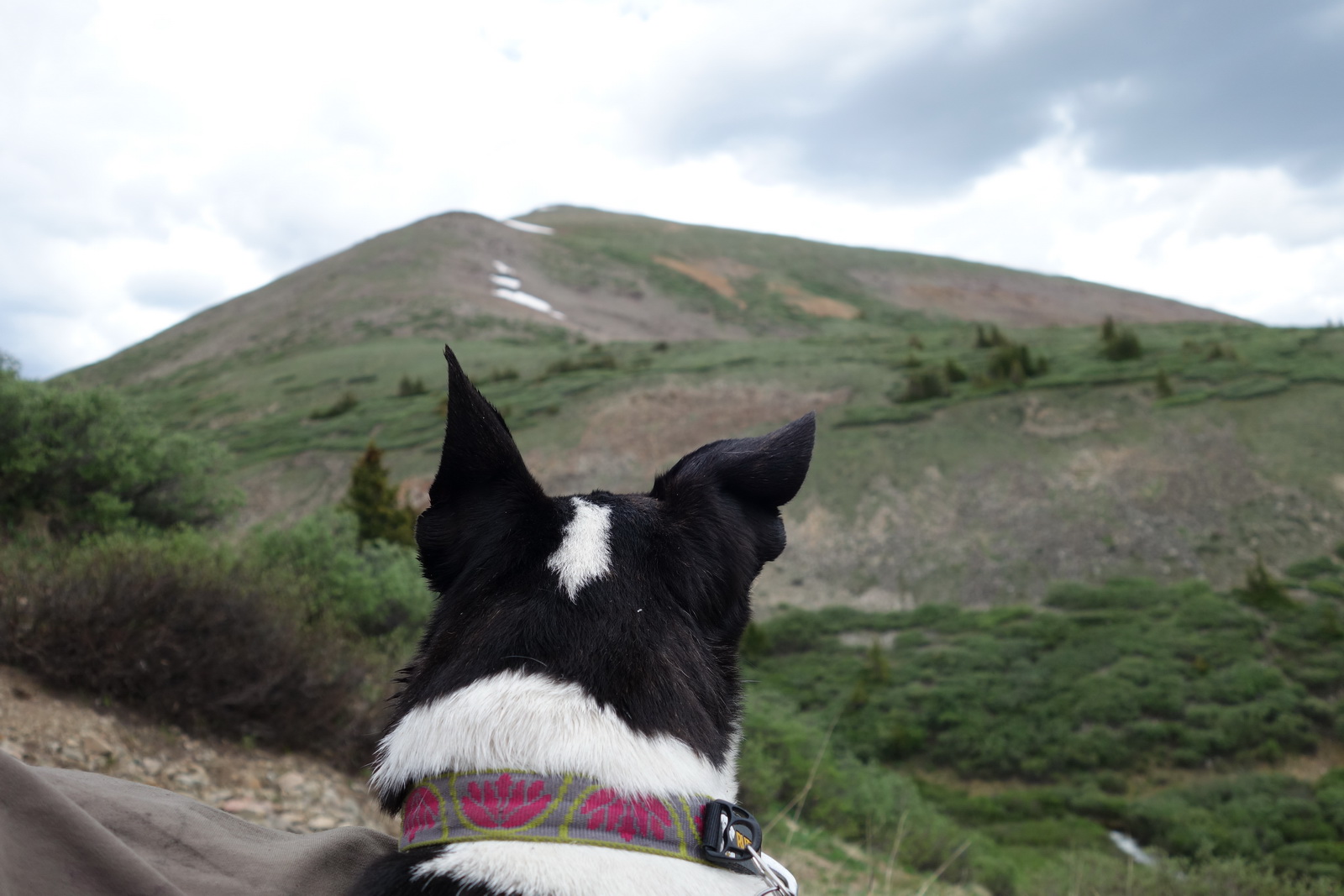 Silverheels 04