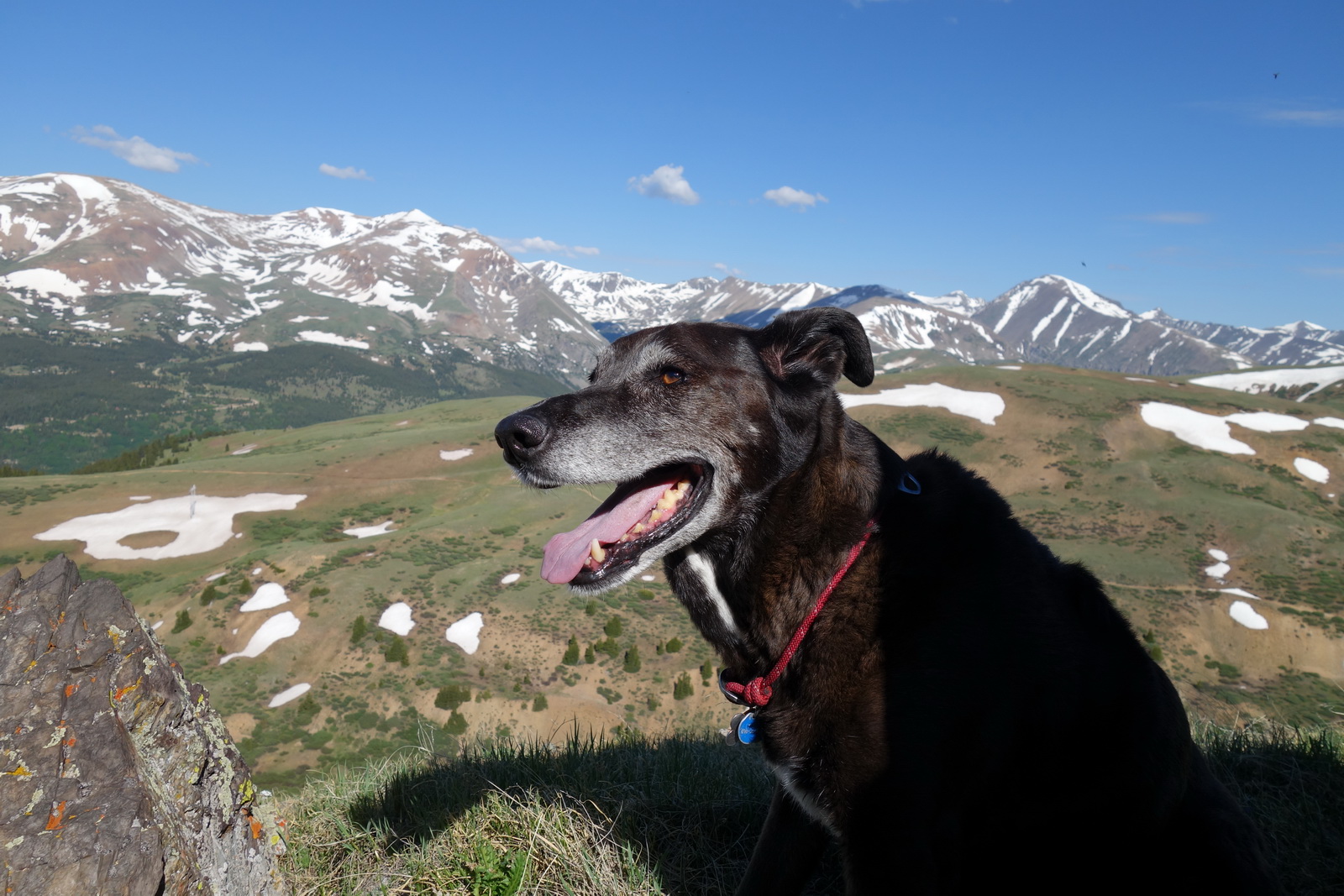 Silverheels 06