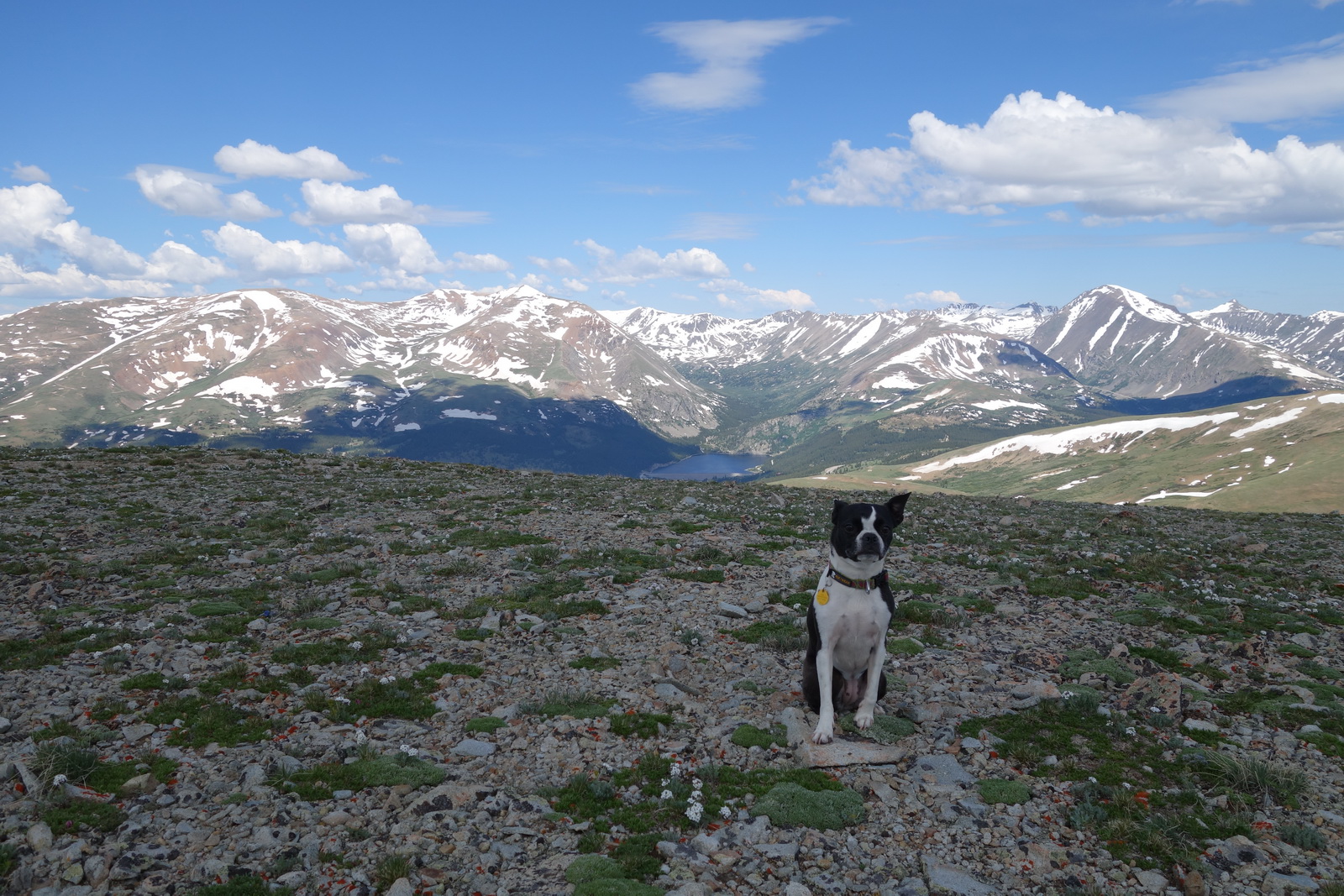Silverheels 08