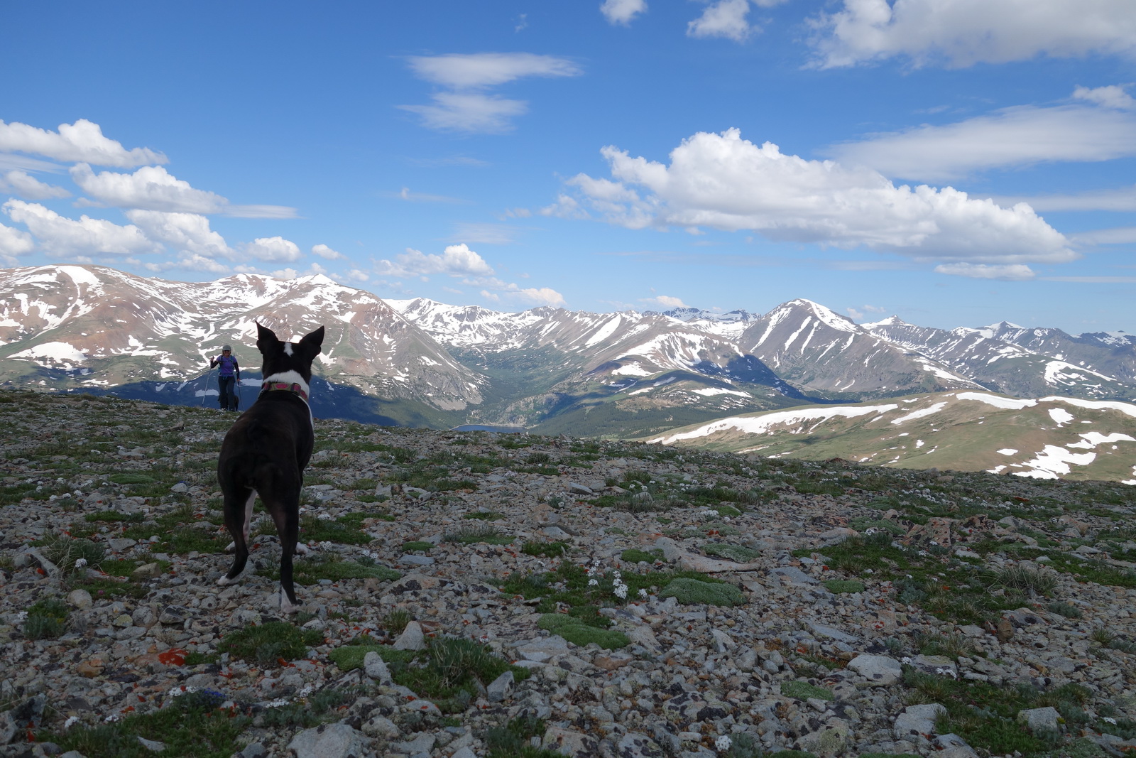Silverheels 09