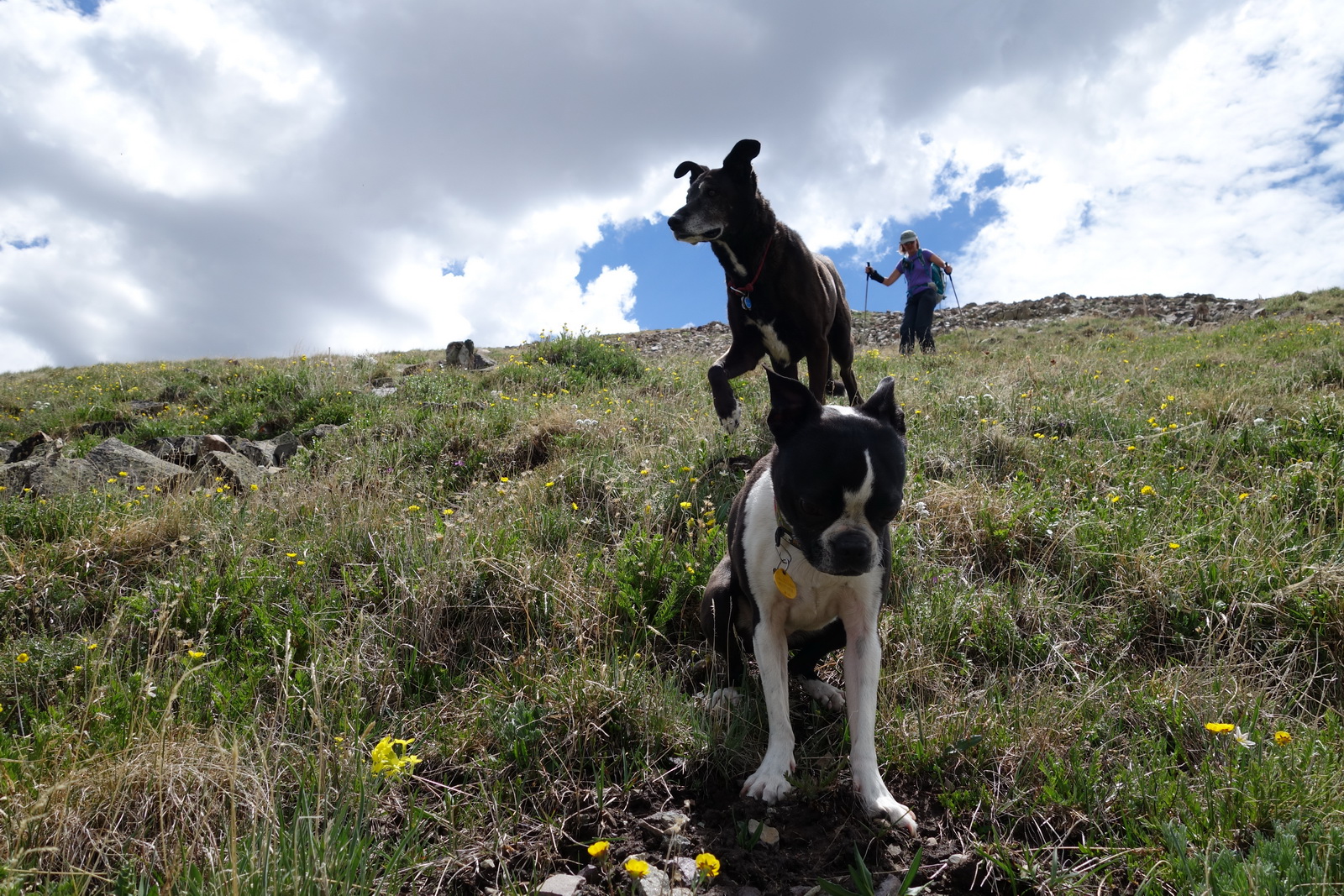 Silverheels 11
