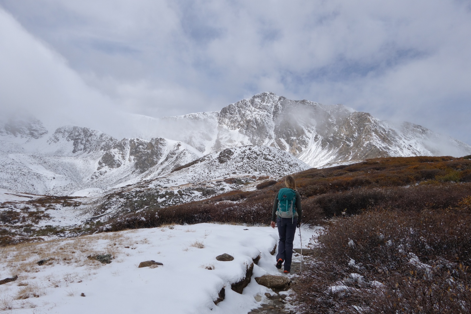 Grays torreys standard 02
