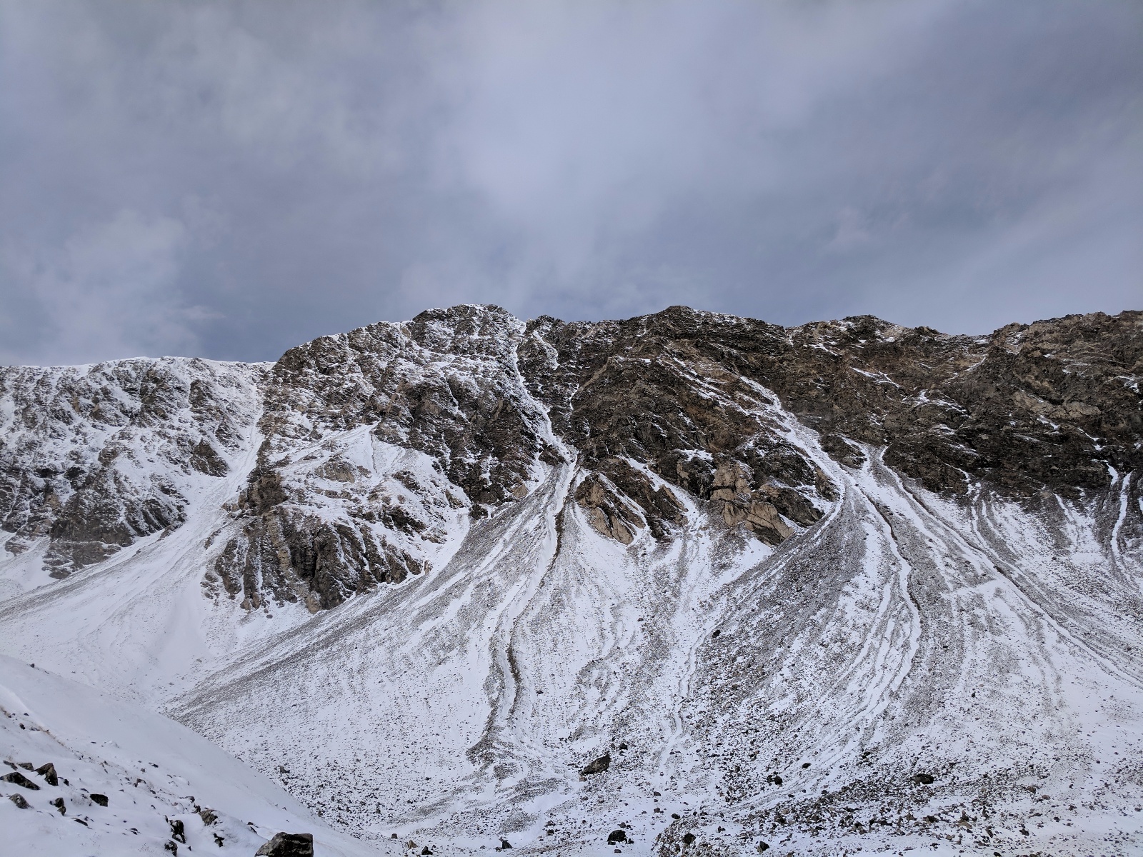 Grays torreys standard 03