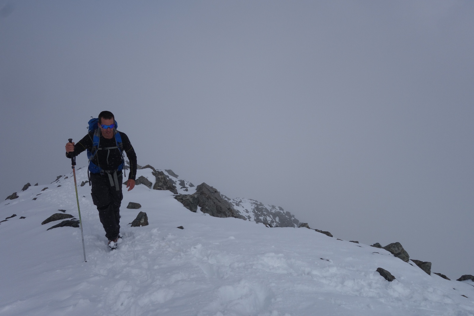 Grays torreys standard 05