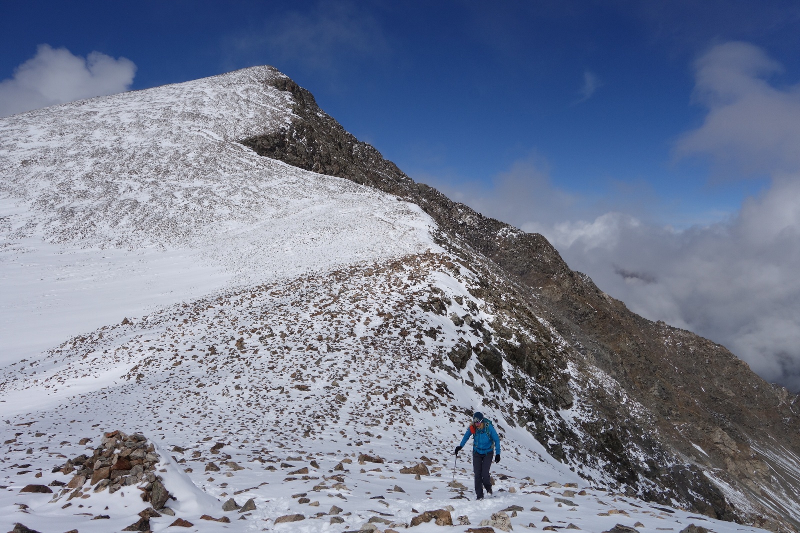 Grays torreys standard 07