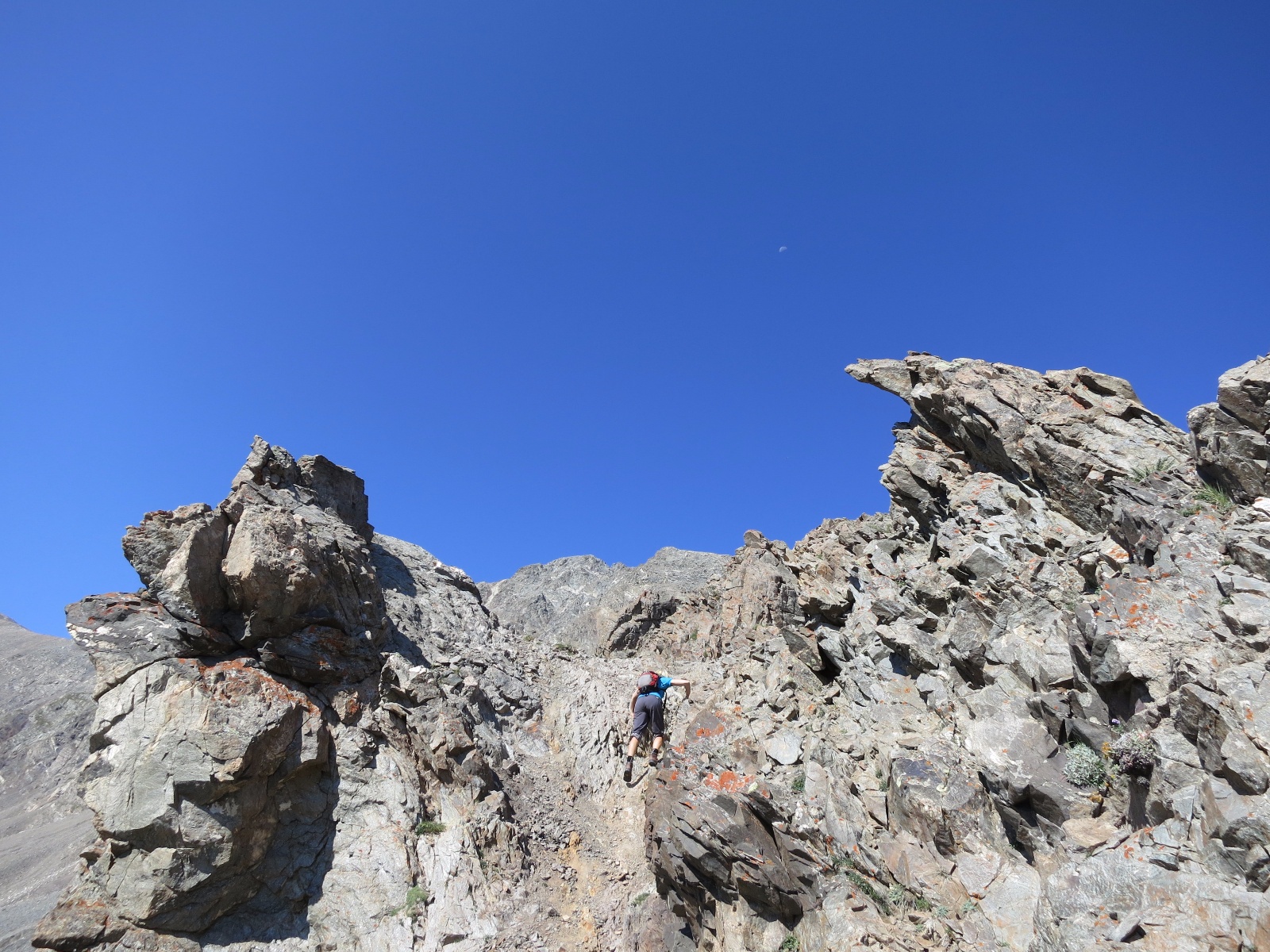 Torreys kelso ridge 08