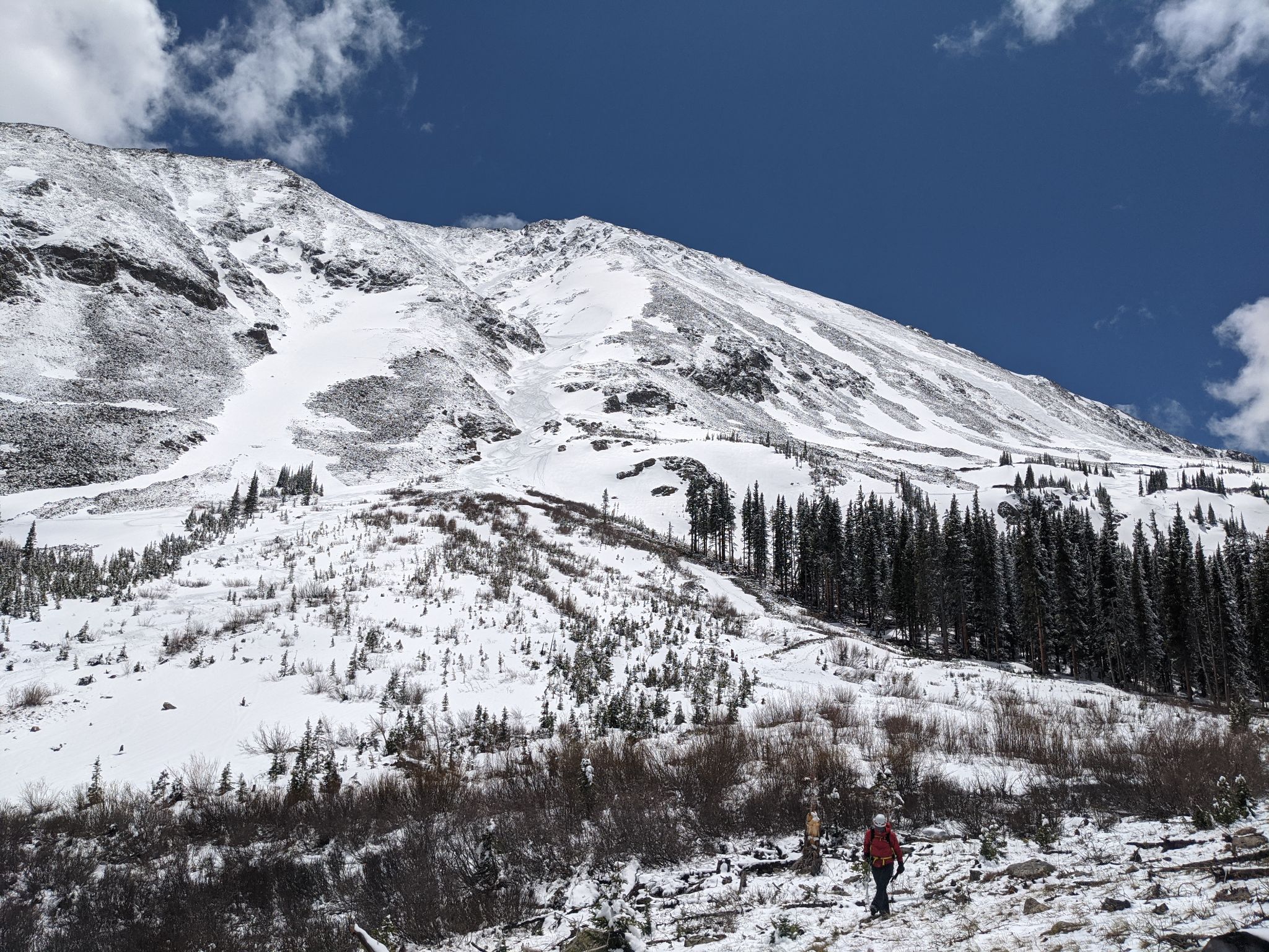 Torreys kelso ridge emperor 41