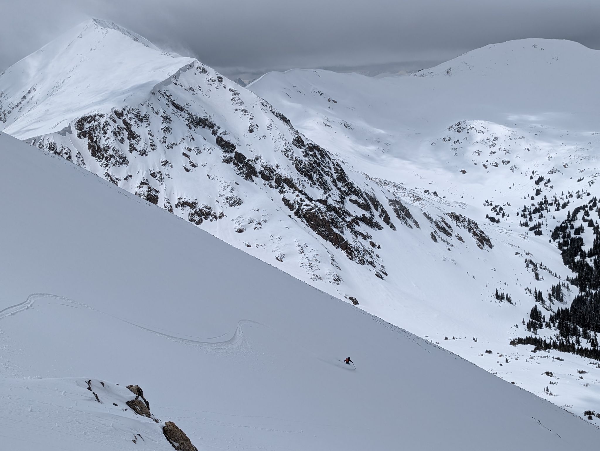 Torreys tuning forks rev4 21