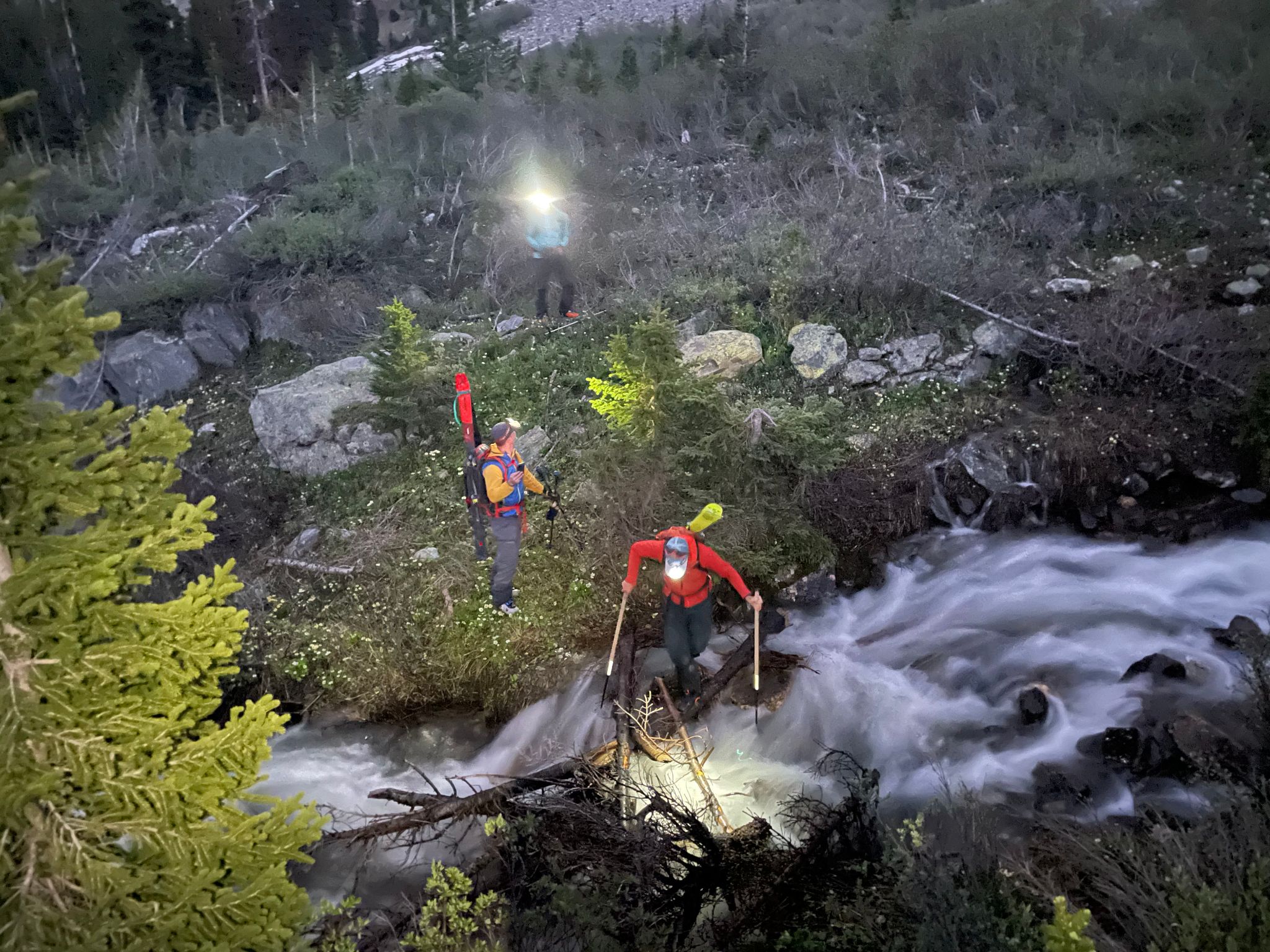 Torreys tuning forks rev4 37