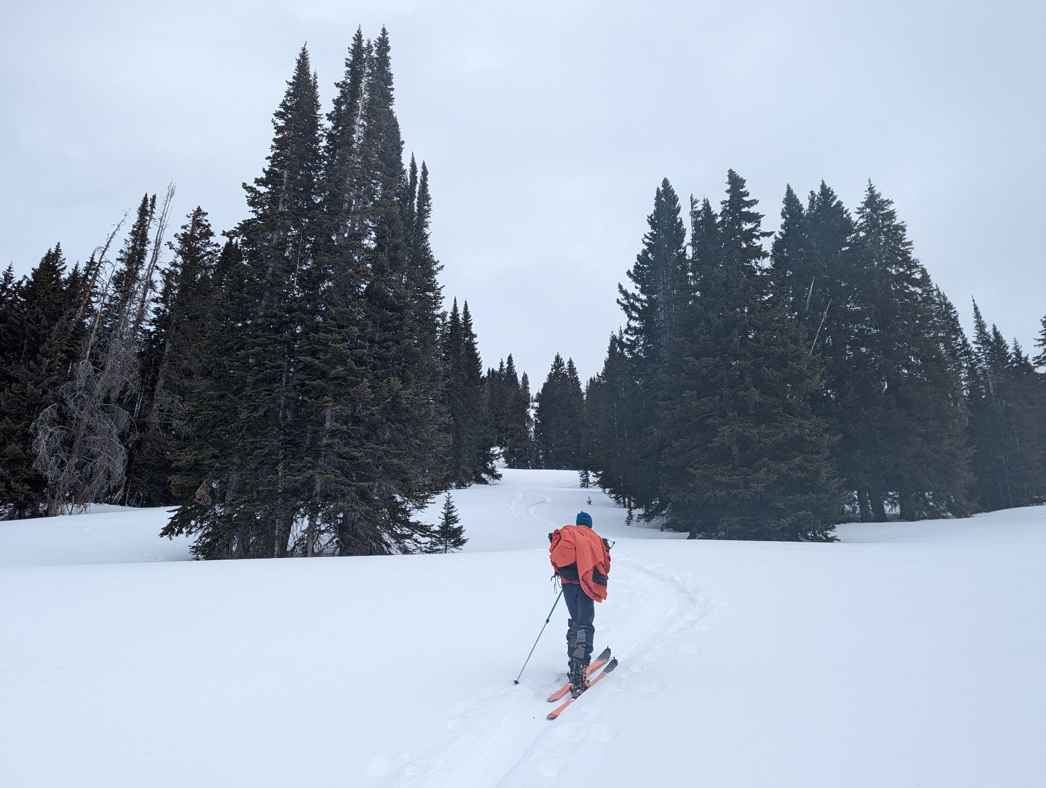 Bald gore ski 03