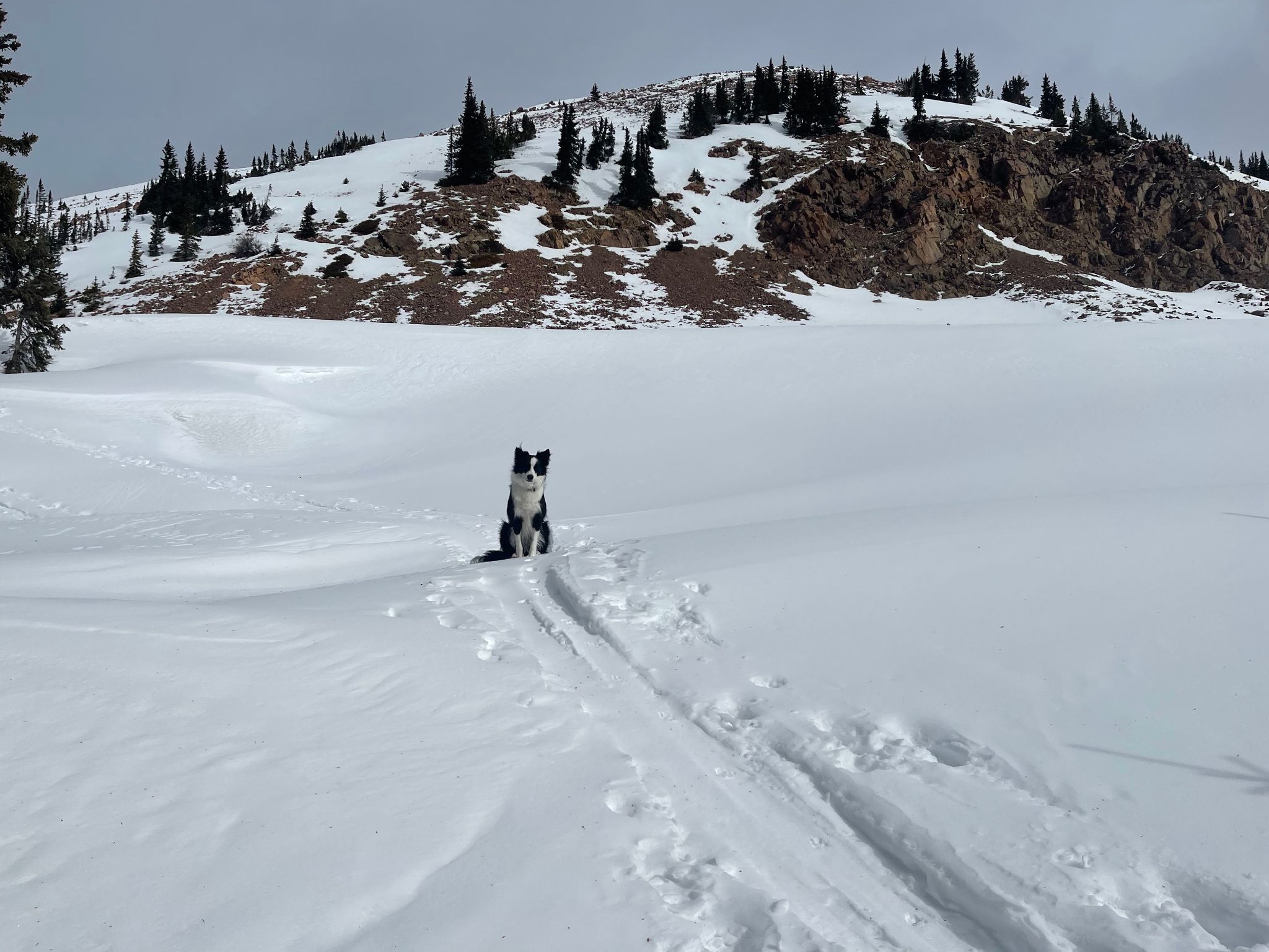 Bald gore ski 04