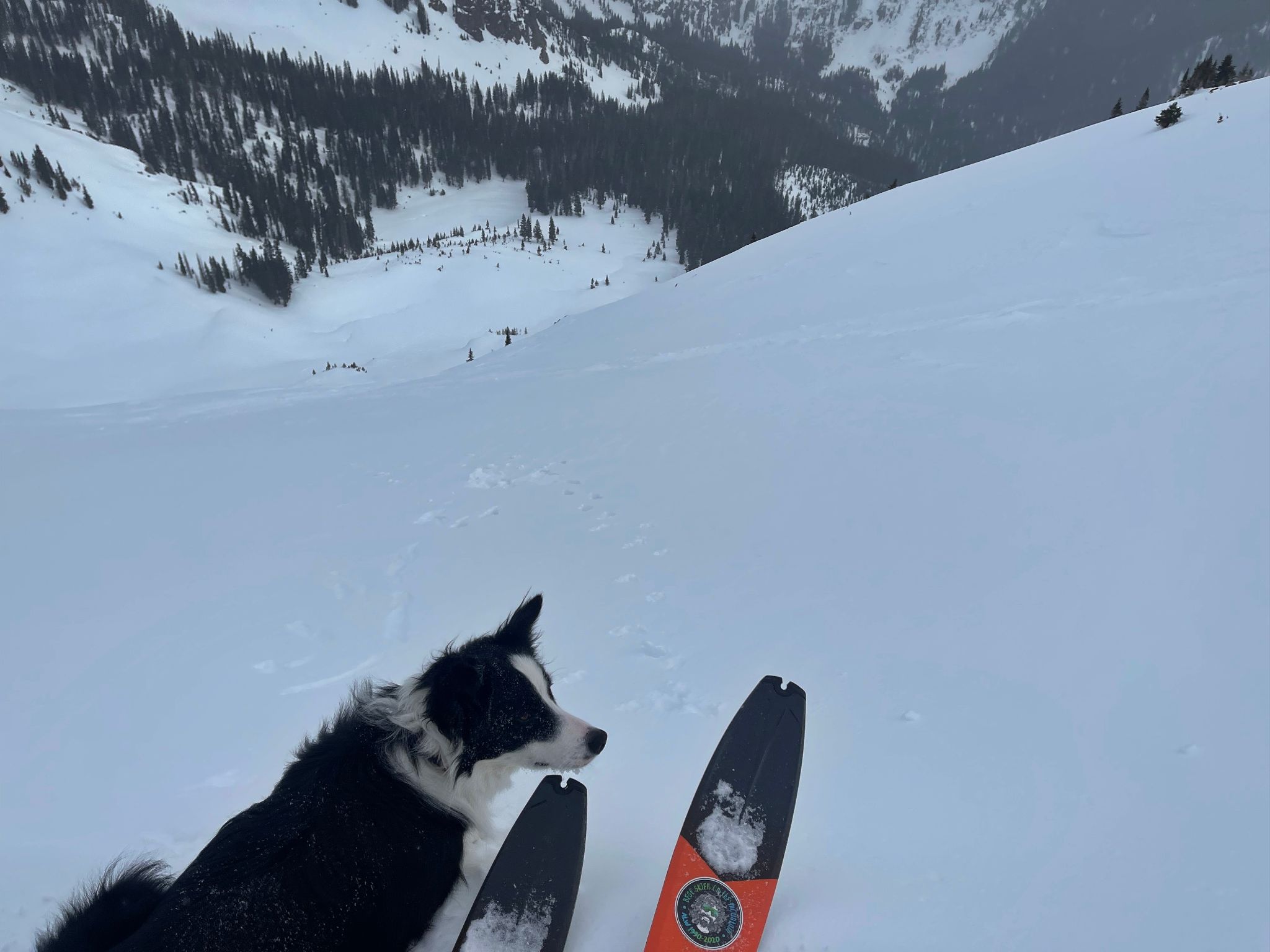 Bald gore ski 12