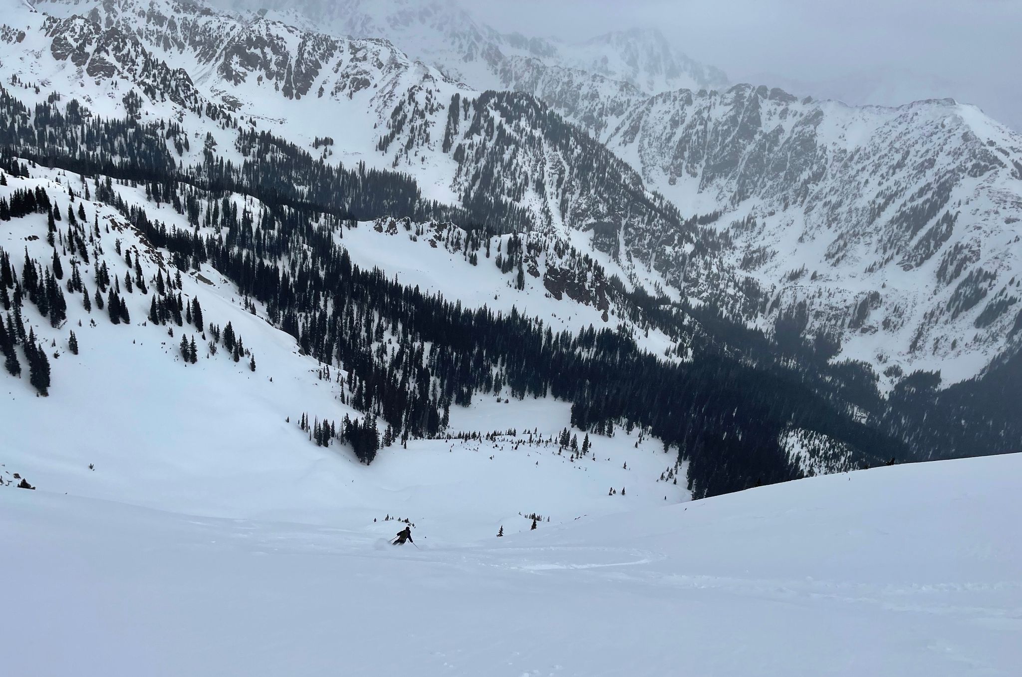 Bald gore ski 14