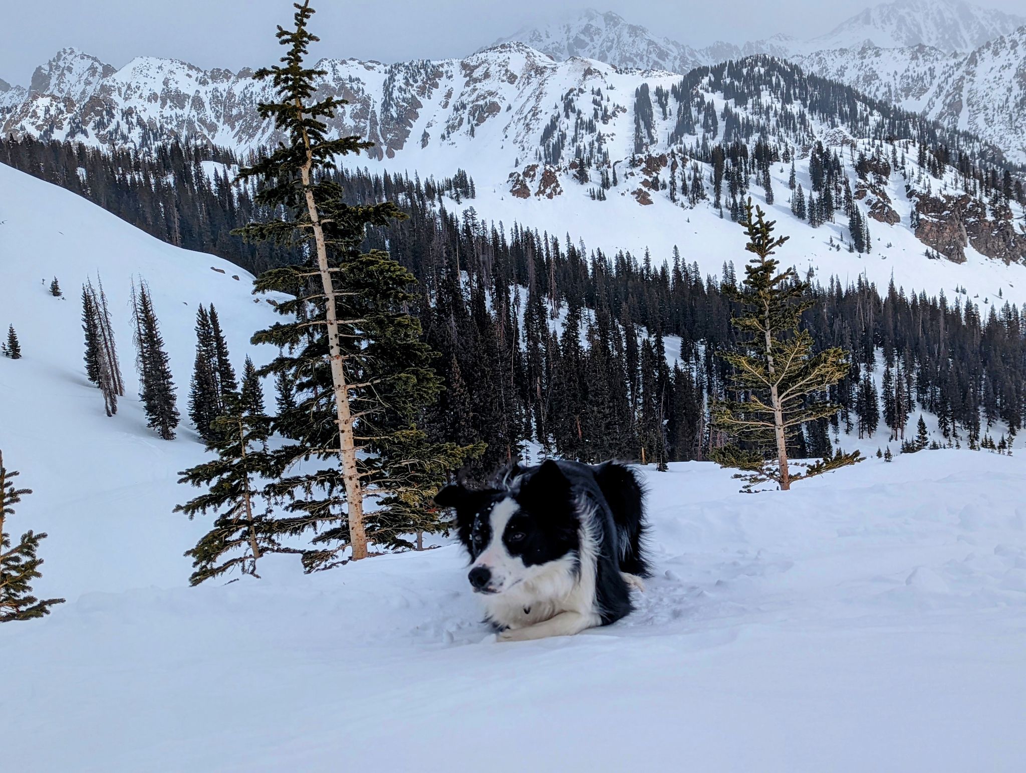 Bald gore ski 16