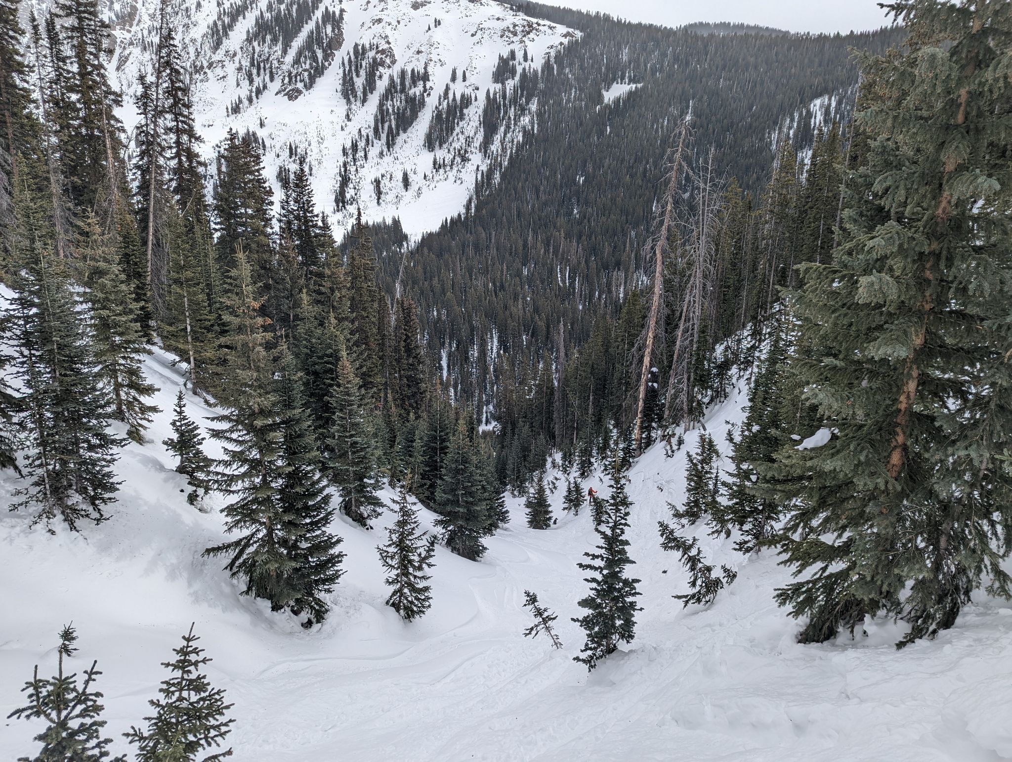 Bald gore ski 18