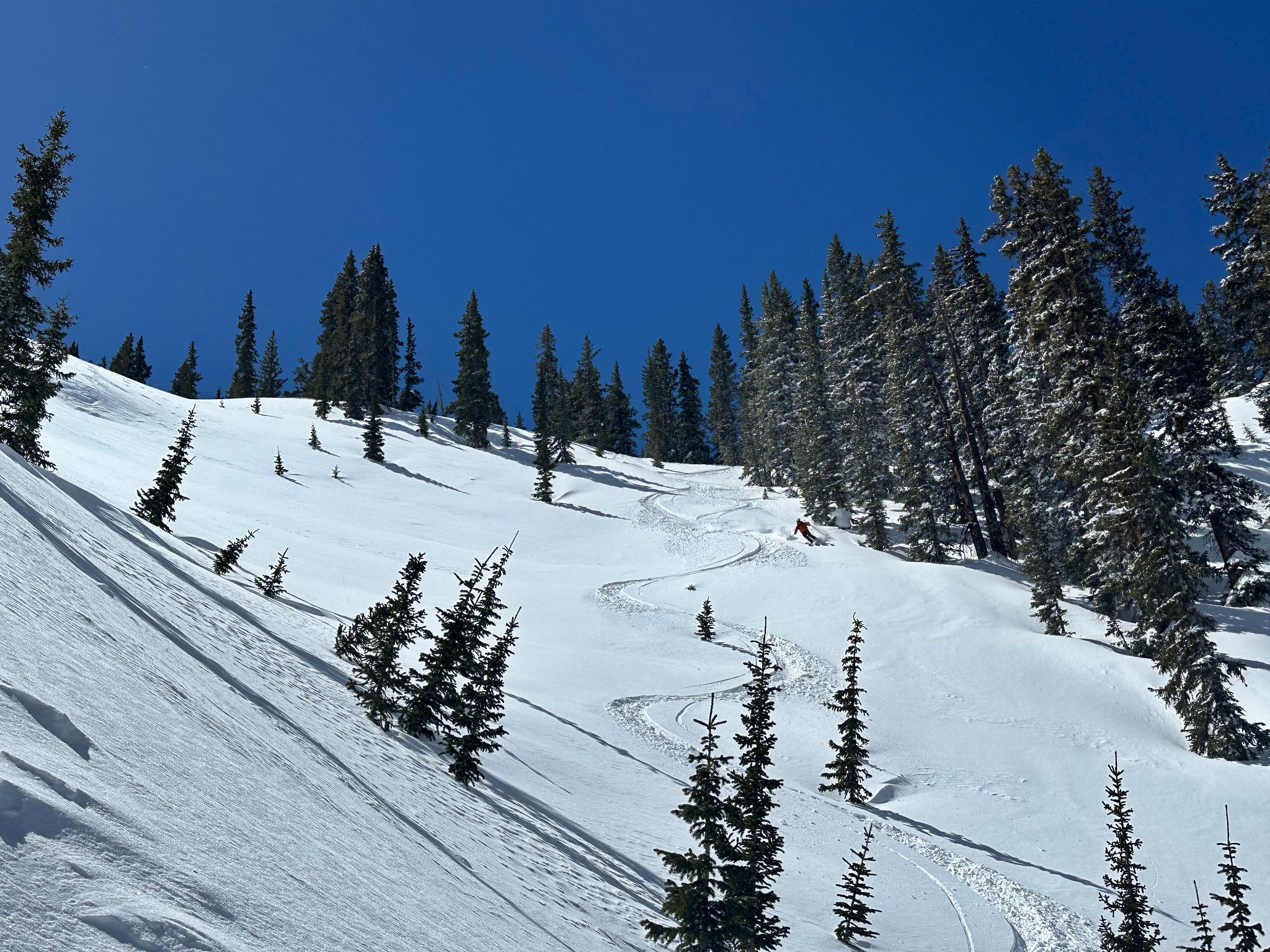 Big horn creek 05