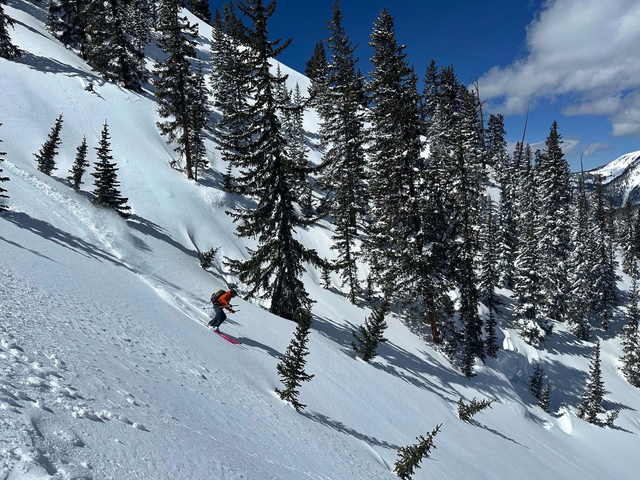 Big horn creek 06