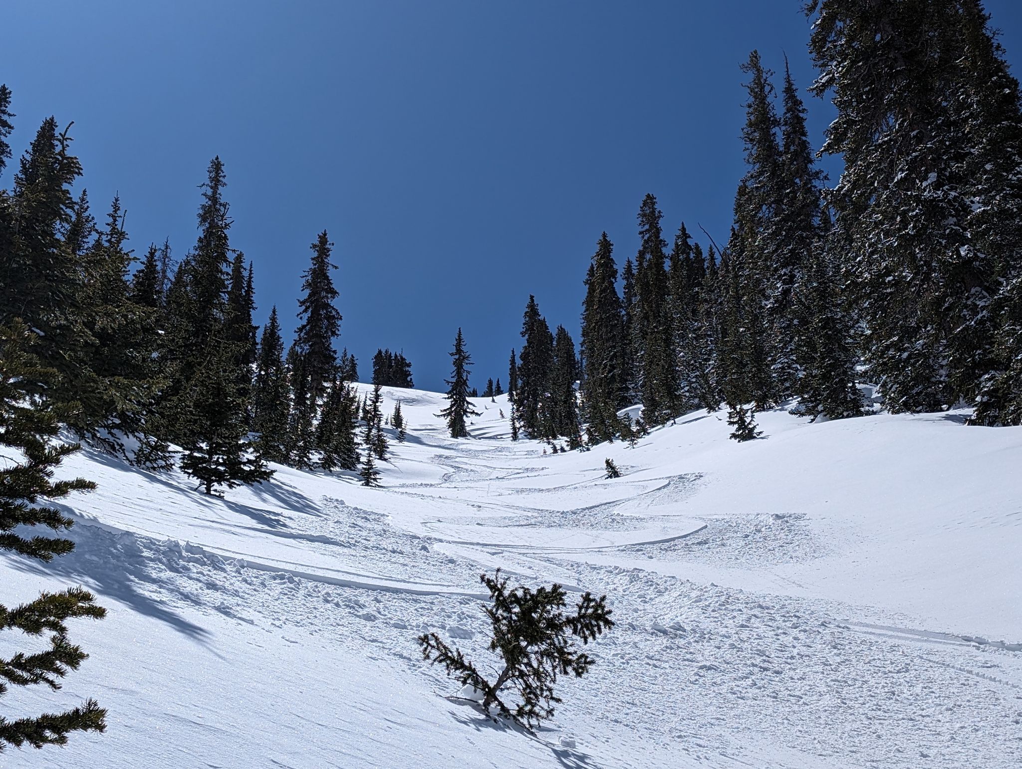 Big horn creek 12