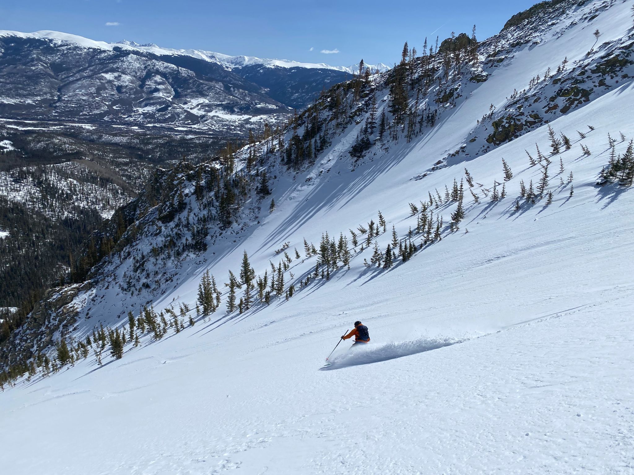 Buffalo mountain maxium elvis v2 10