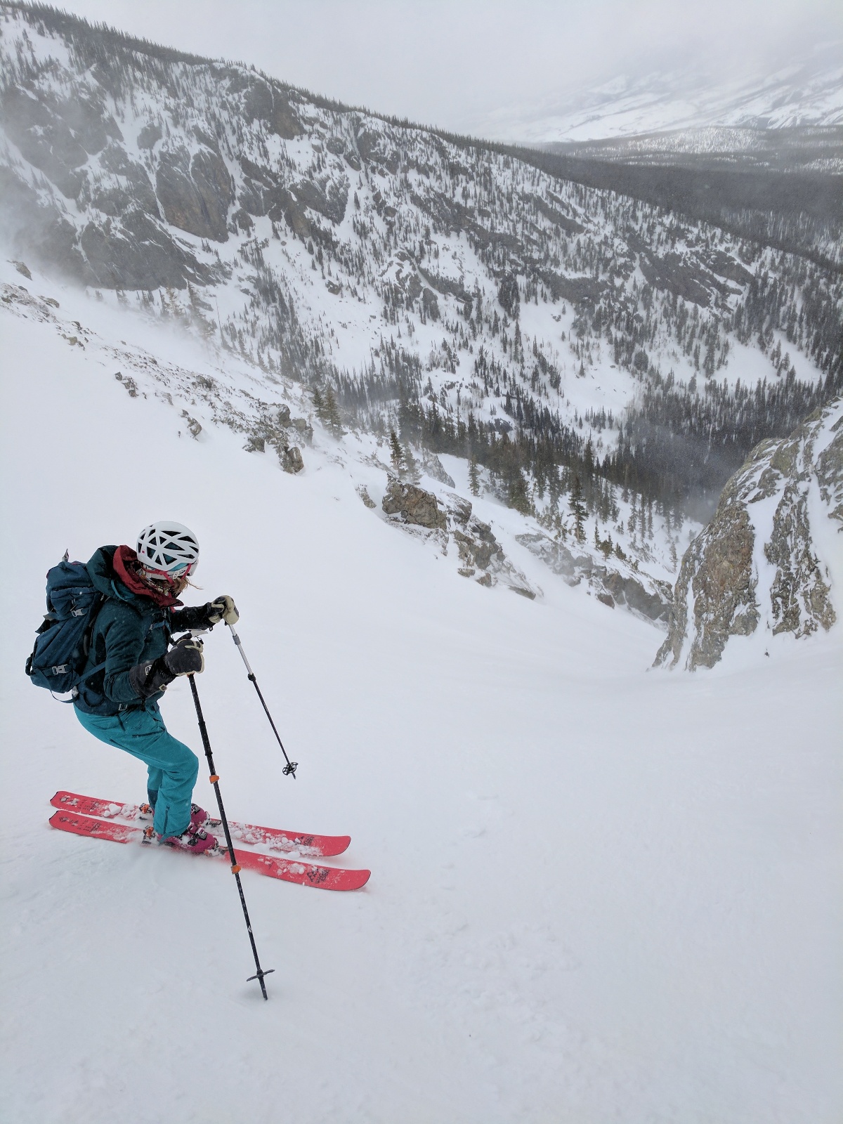 Buffalo mountain 14
