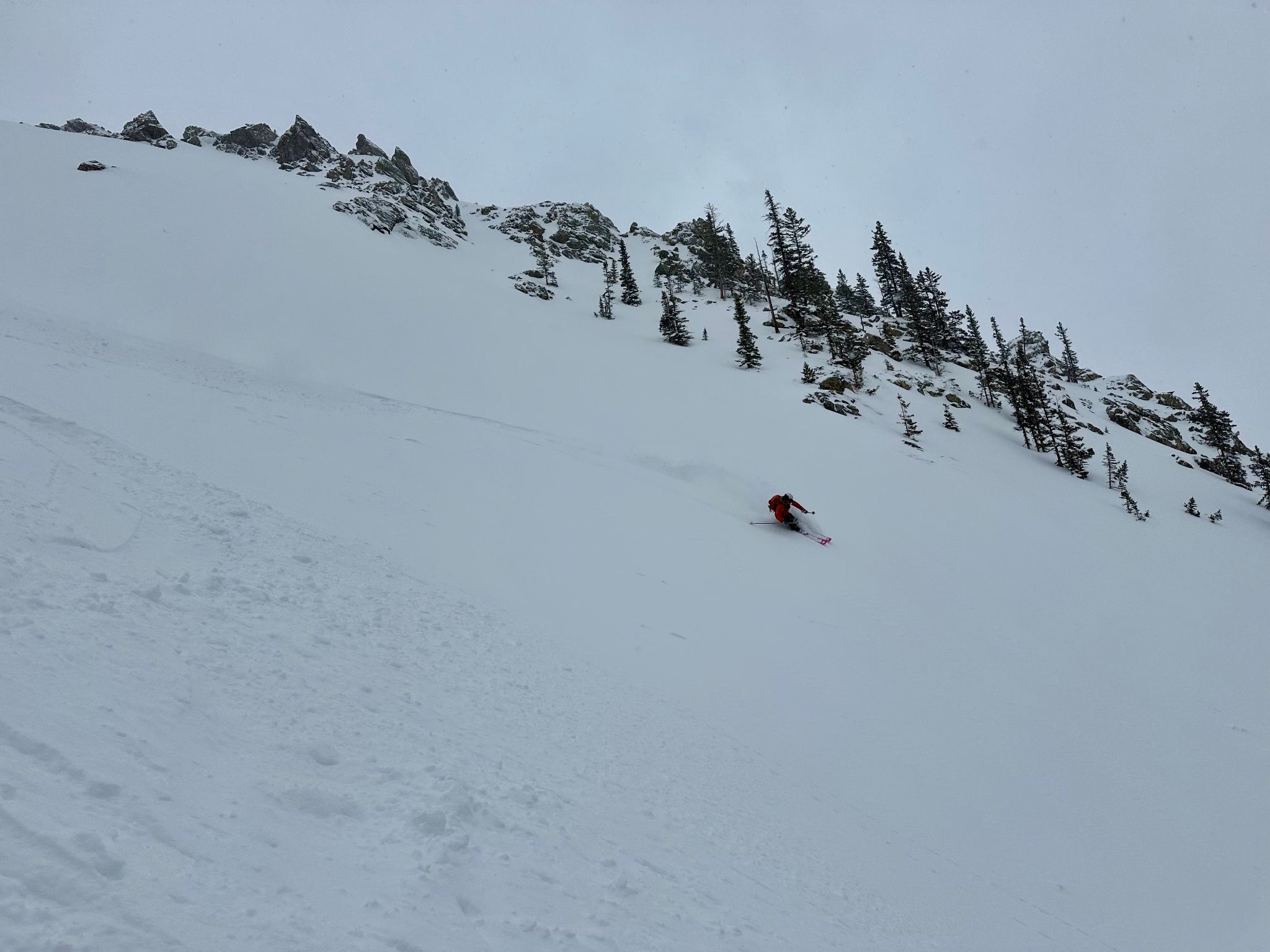 Buffalo mountain 14c