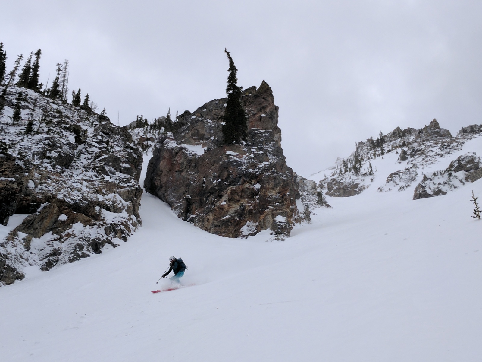 Buffalo mountain 18