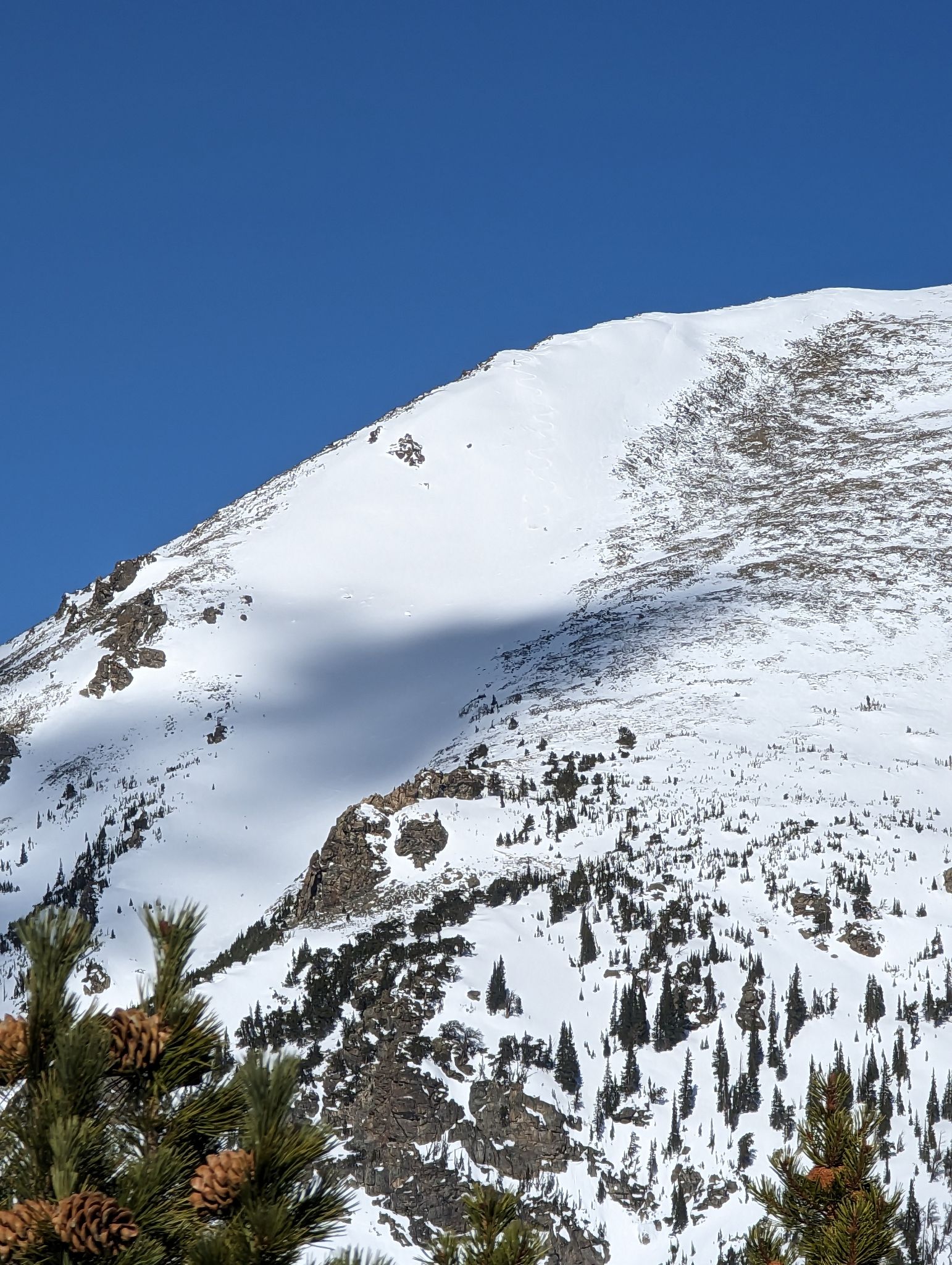Buffalo mountain davids wave 00