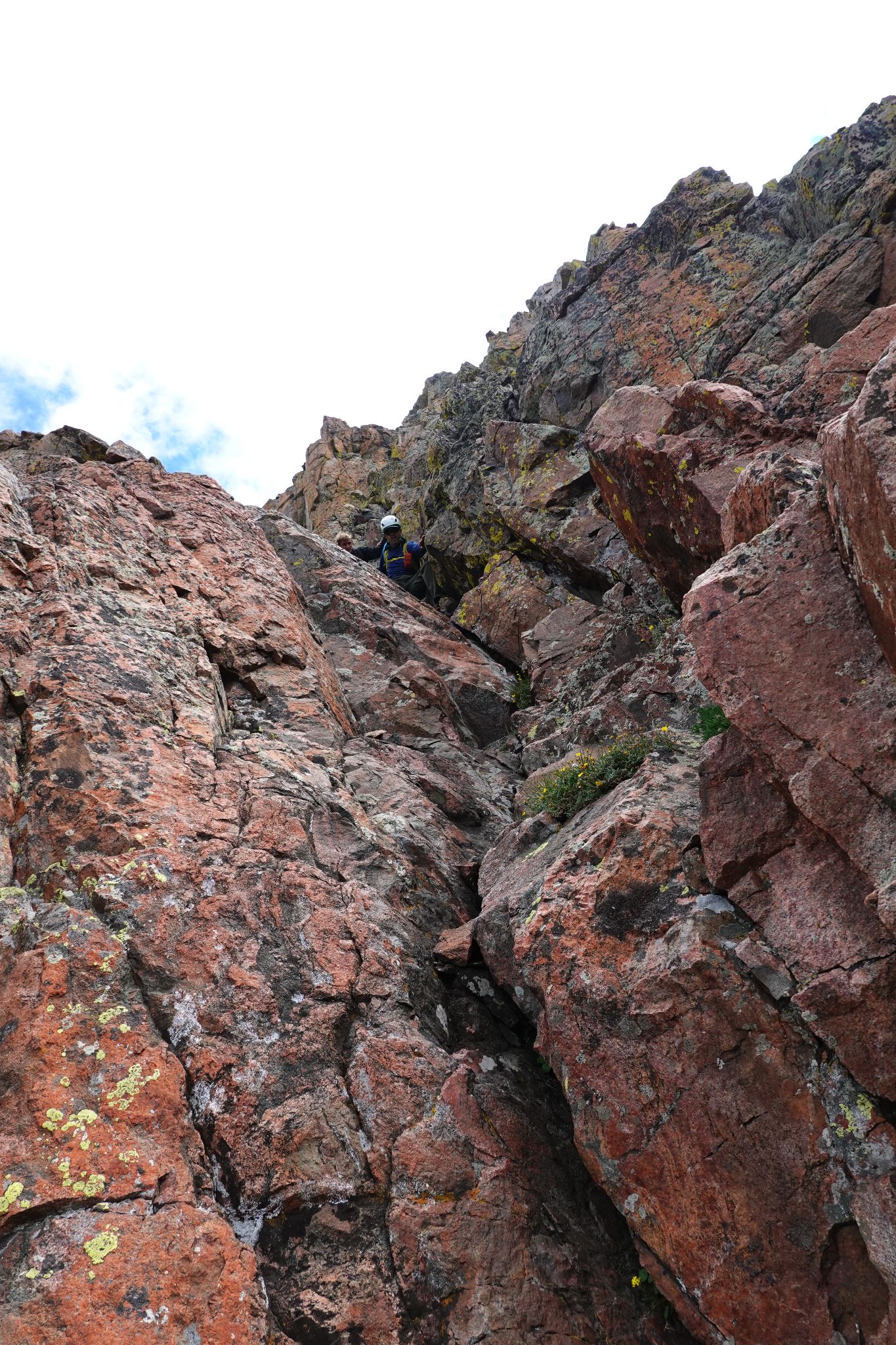Grand traverse 31